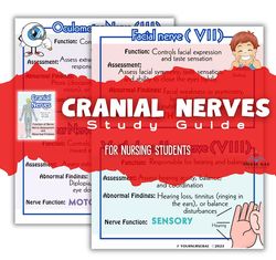 Cranial Nerves Study Guide for Nursing Students, Nursing School, Nursing Study Sheets