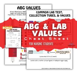 ABG Values and Lab Values - Nursing Study Sheet