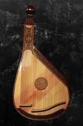 Bandura. 50 strings. Lyre. Harp. Chromatic. Concert quality. Small.Compact. Original handmade. Gift.
