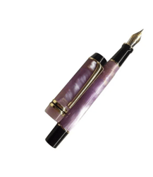 Disposable Fountain Pens, Ink Fine Point Pens Smooth Writing Calligraphy Pens :Style 7