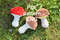 amigurumi mushroom