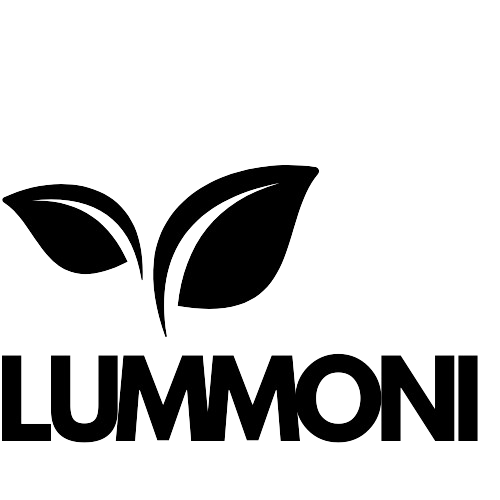 LUMMONI-removebg-preview.png