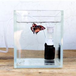 Ultra-Quiet Mini Fish Tank Filter: Submersible Biochemical Aquarium Purifier for Small Tanks