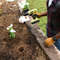 Garden Spiral Hole Drill Planter