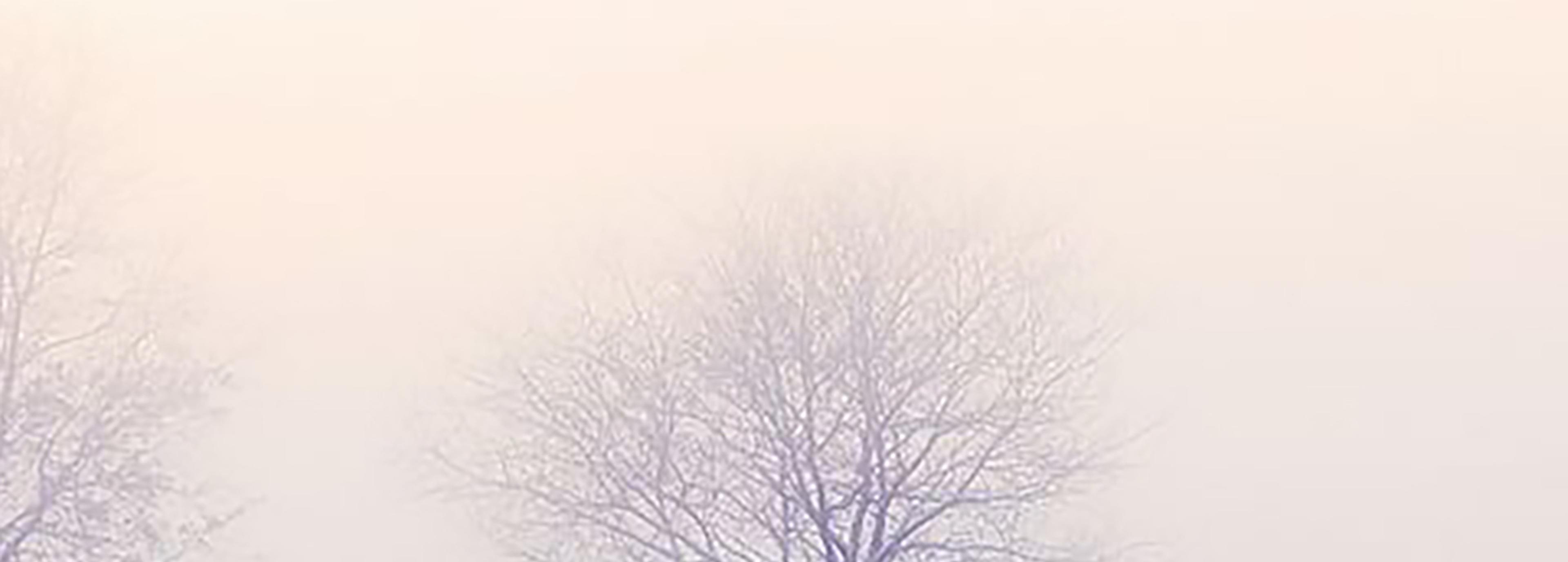 Shop cover image