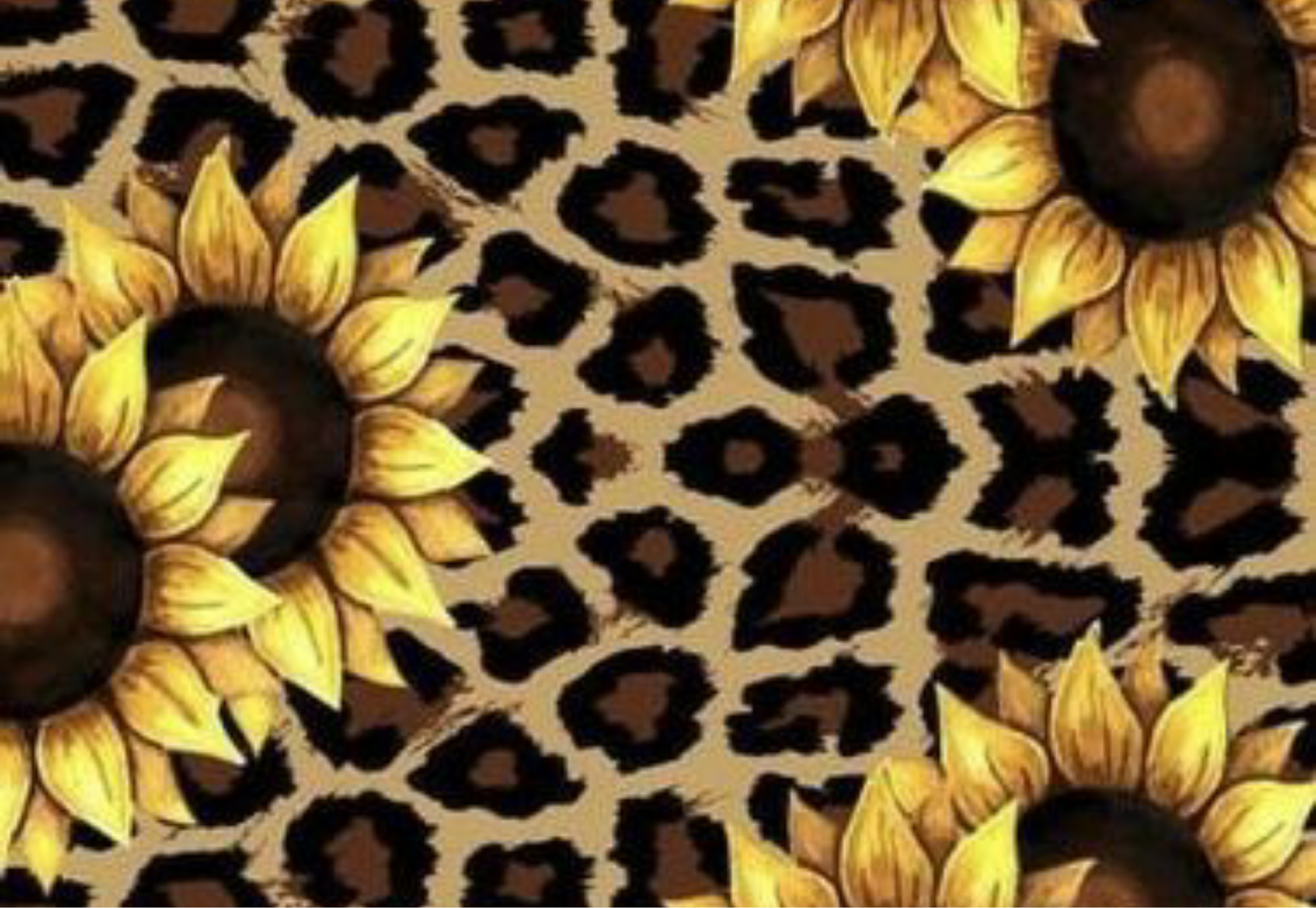 Shop cover image