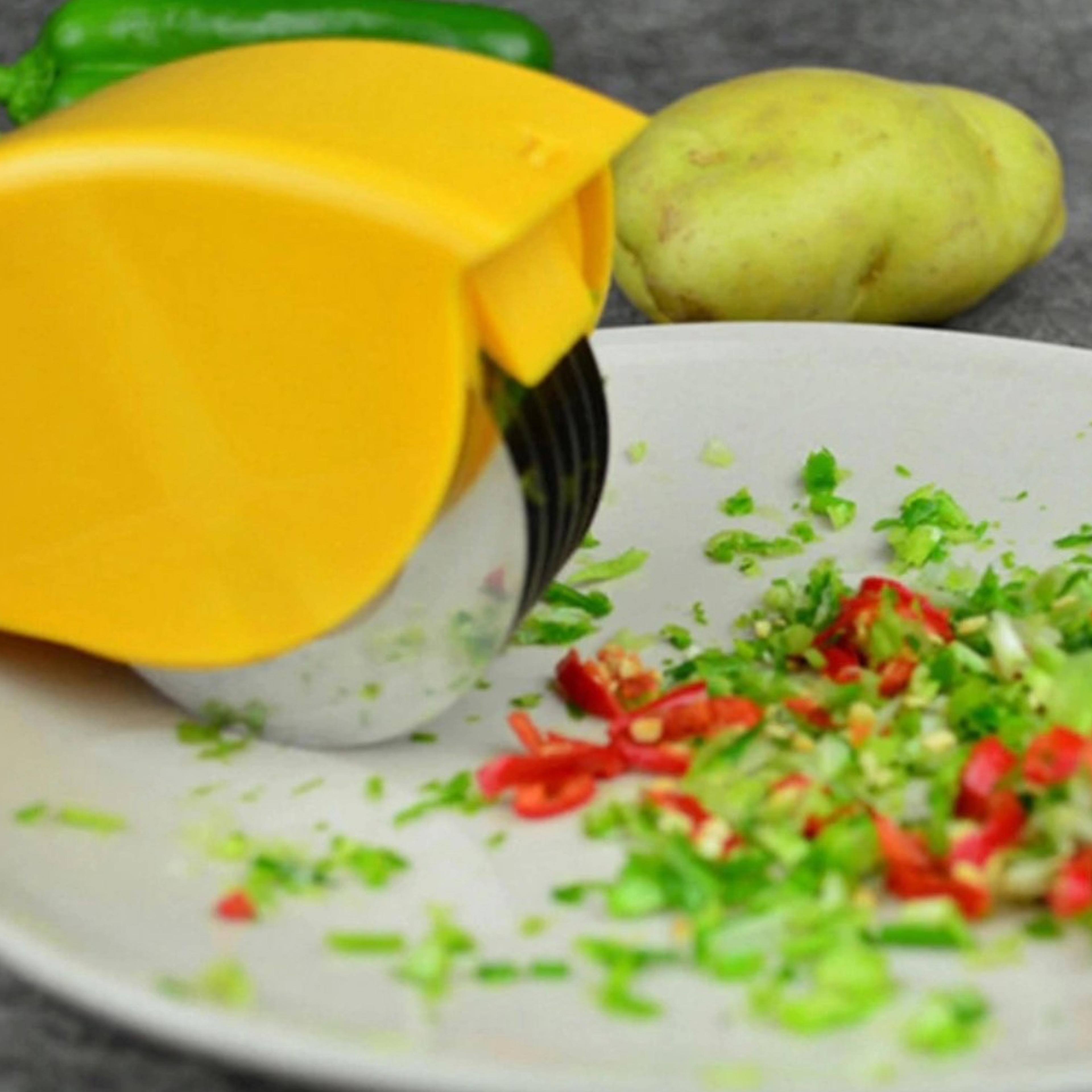 6 Blade Stainless Steel Kitchen Herb Chopper Roller4