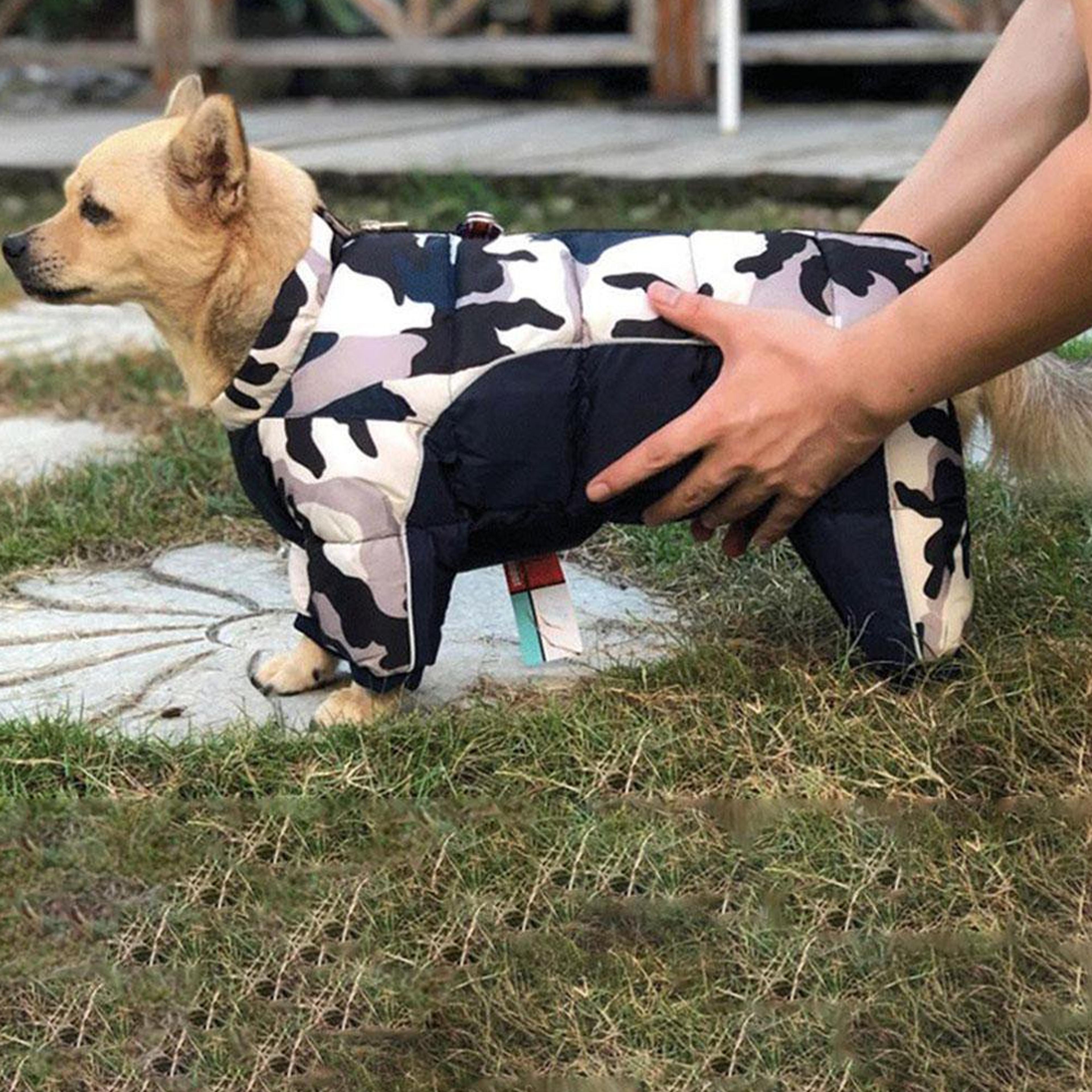 comfy dog winter jumpsuit