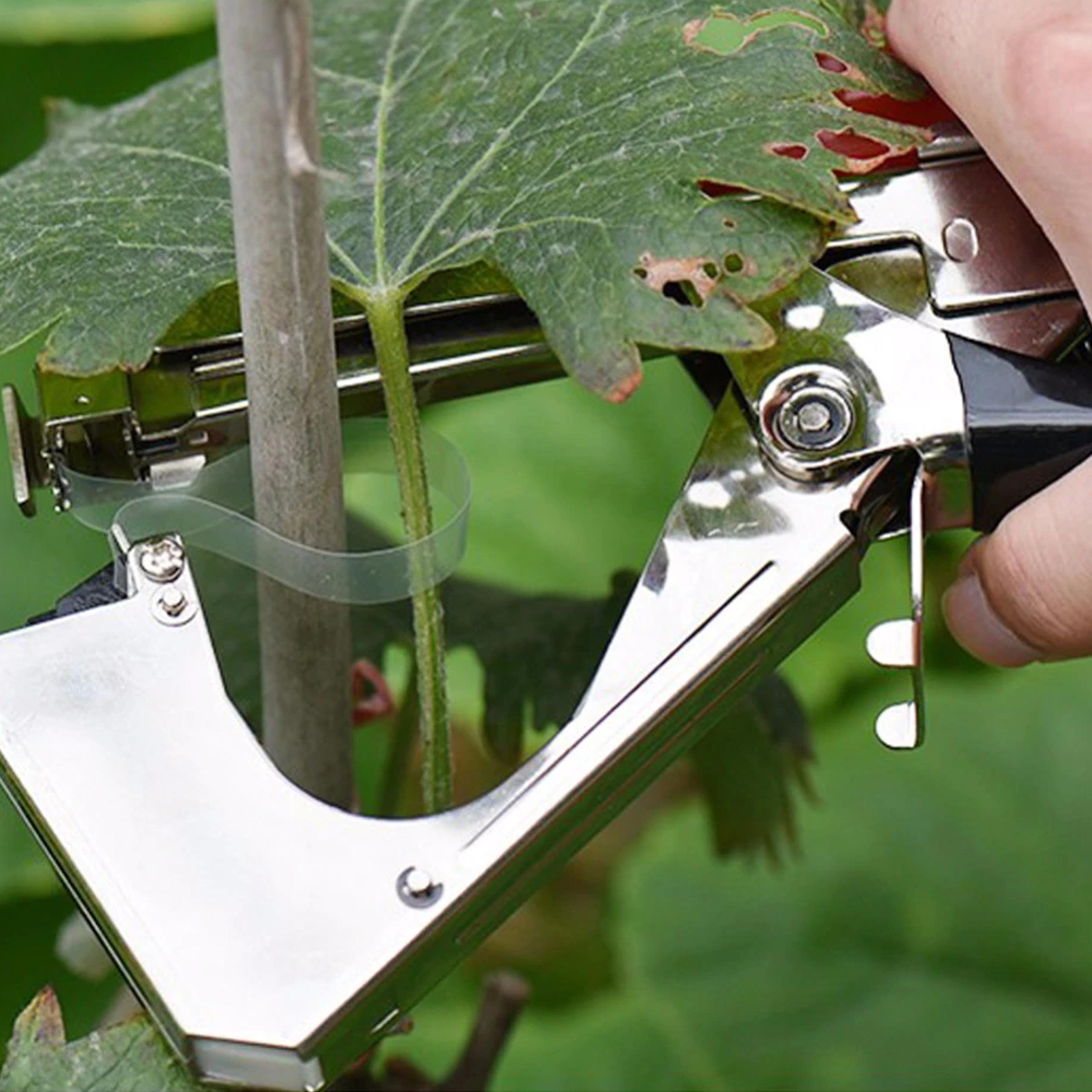 Tape Tool For Binding Plant Vines 1