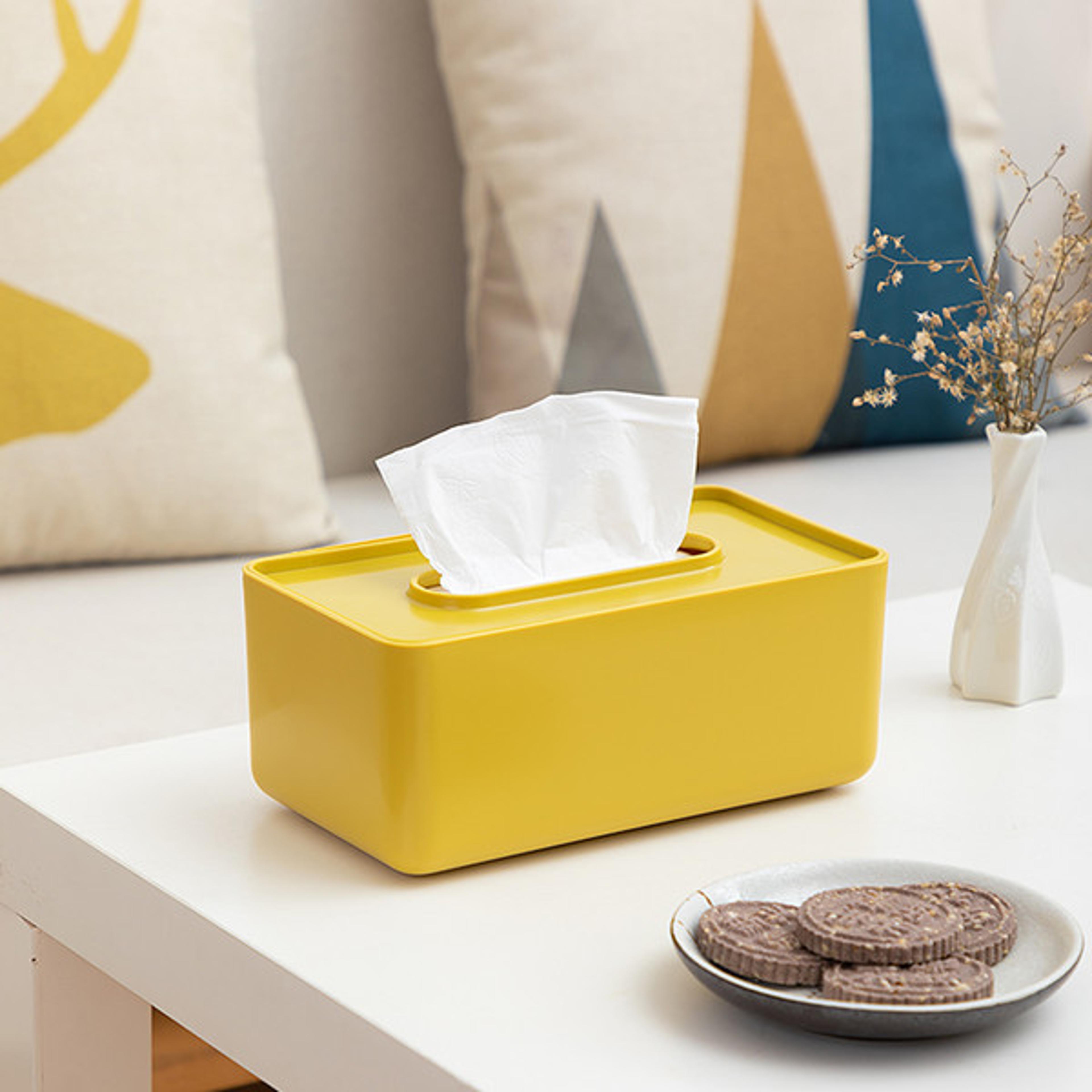 facial tissue dispenser box with lid