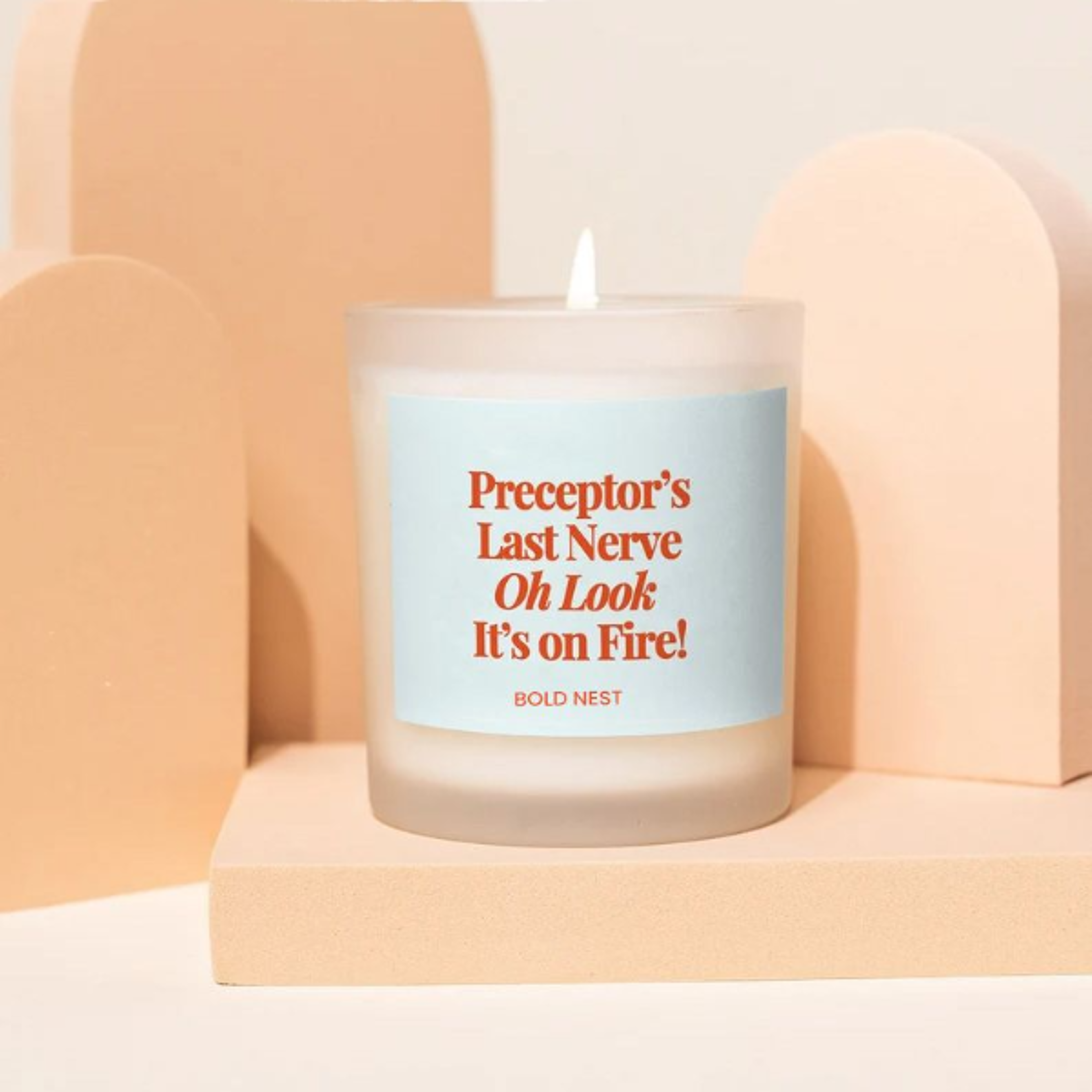 funny preceptor candle gift for nurses | preceptors last nerve nursing student graduation gift