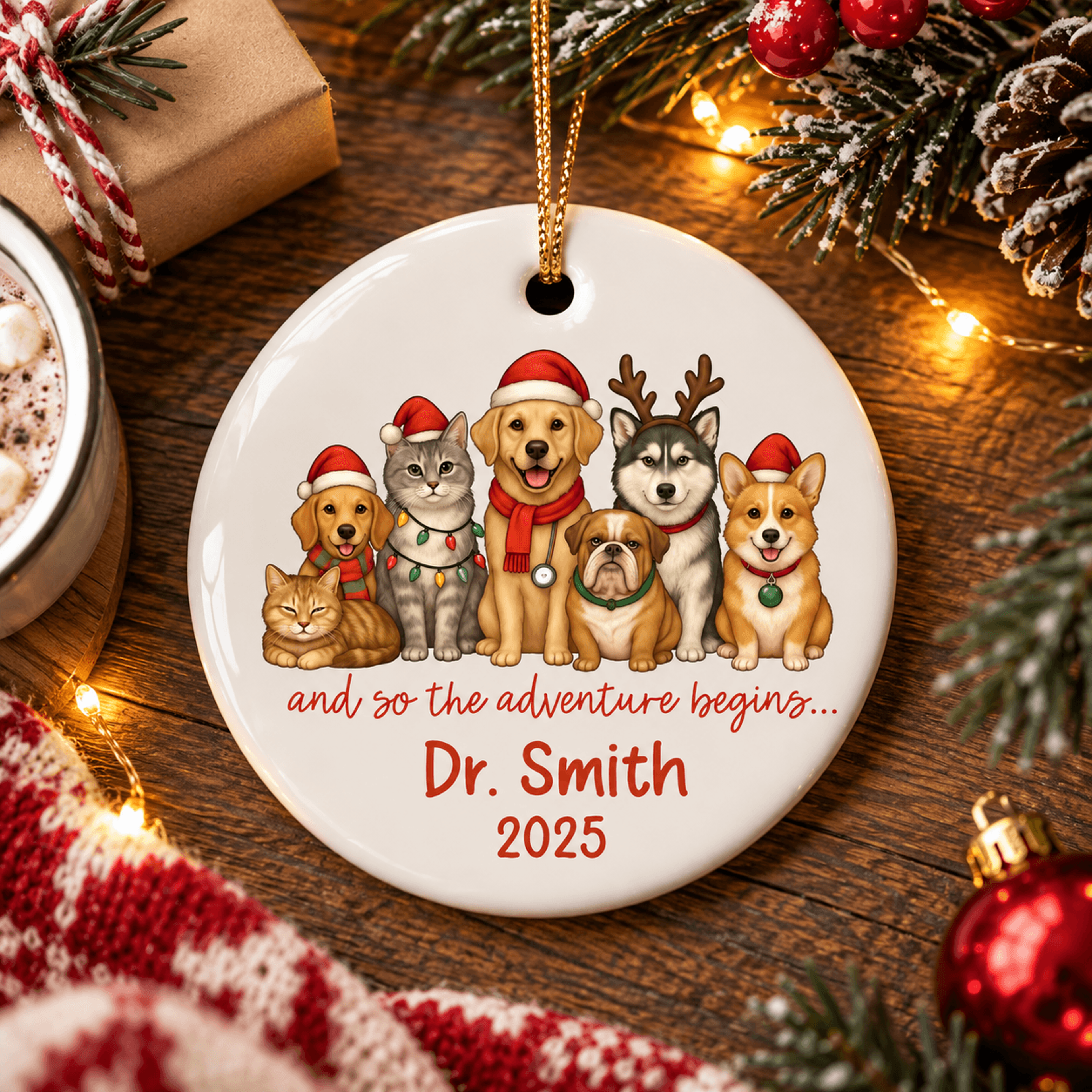 personalized veterinarian christmas ornament, custom vet doctor gift, pet lover animal clinic holiday keepsake