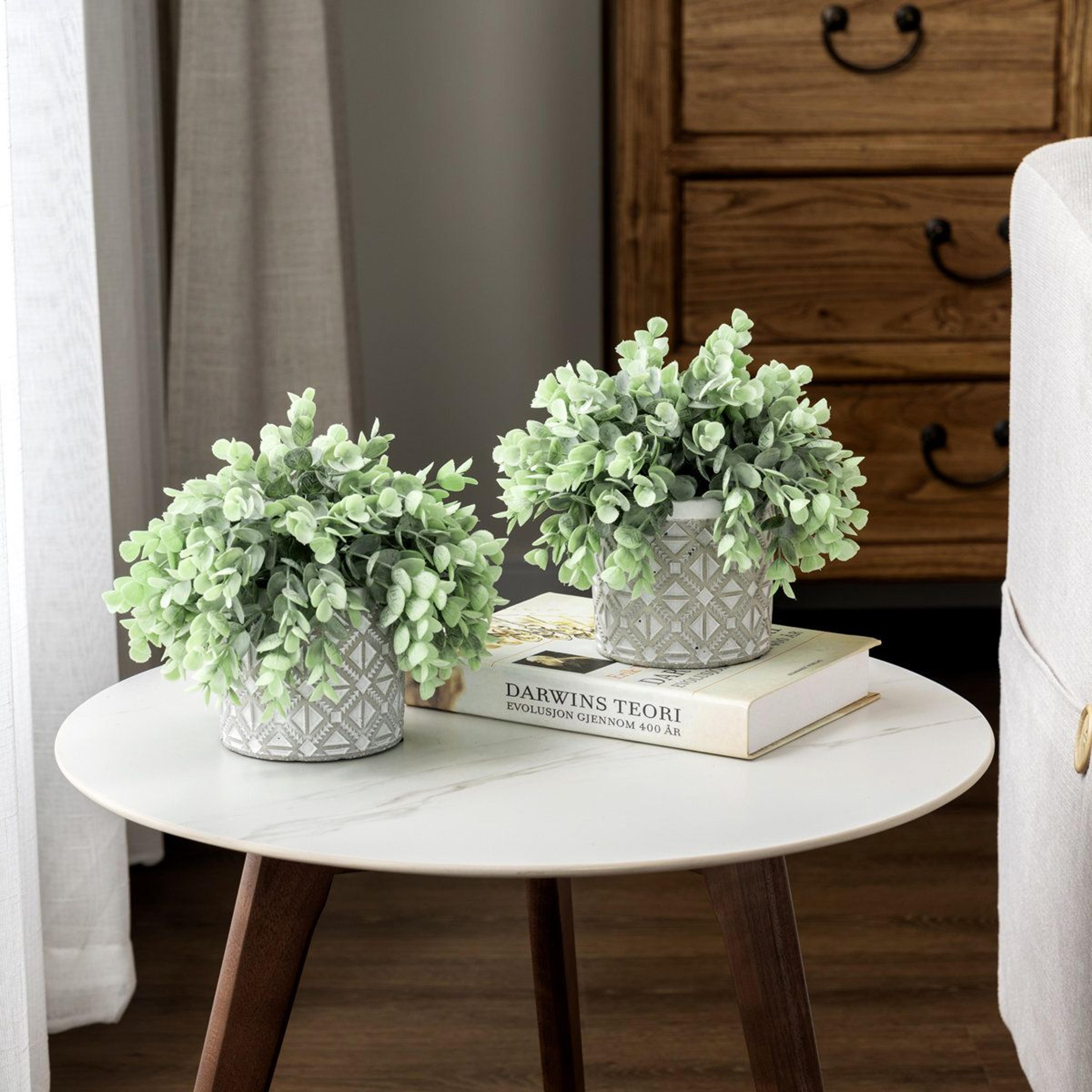Faux Eucalyptus Plants In Geometric Cement Pots Set Of 2 3