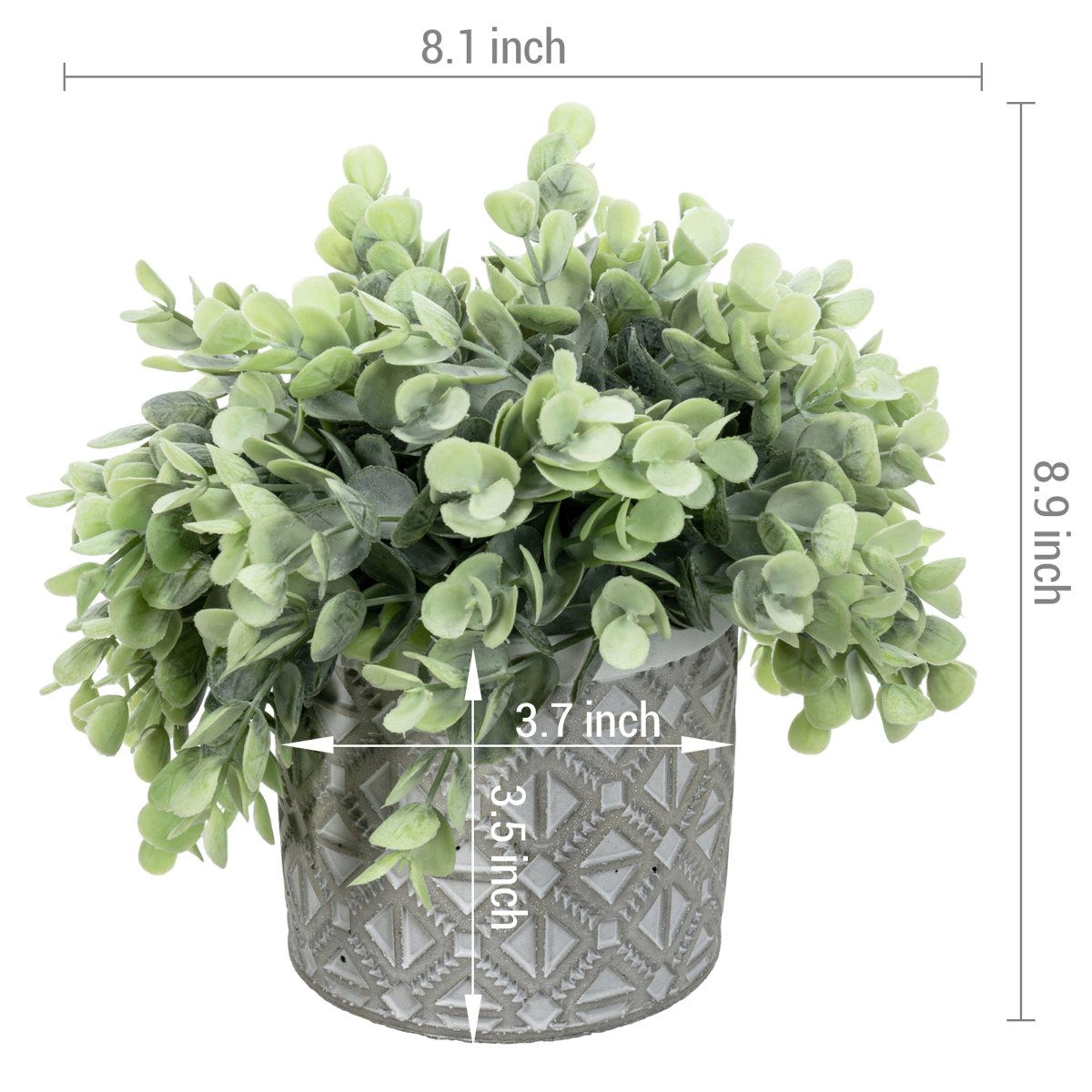 Faux Eucalyptus Plants In Geometric Cement Pots Set Of 2 4