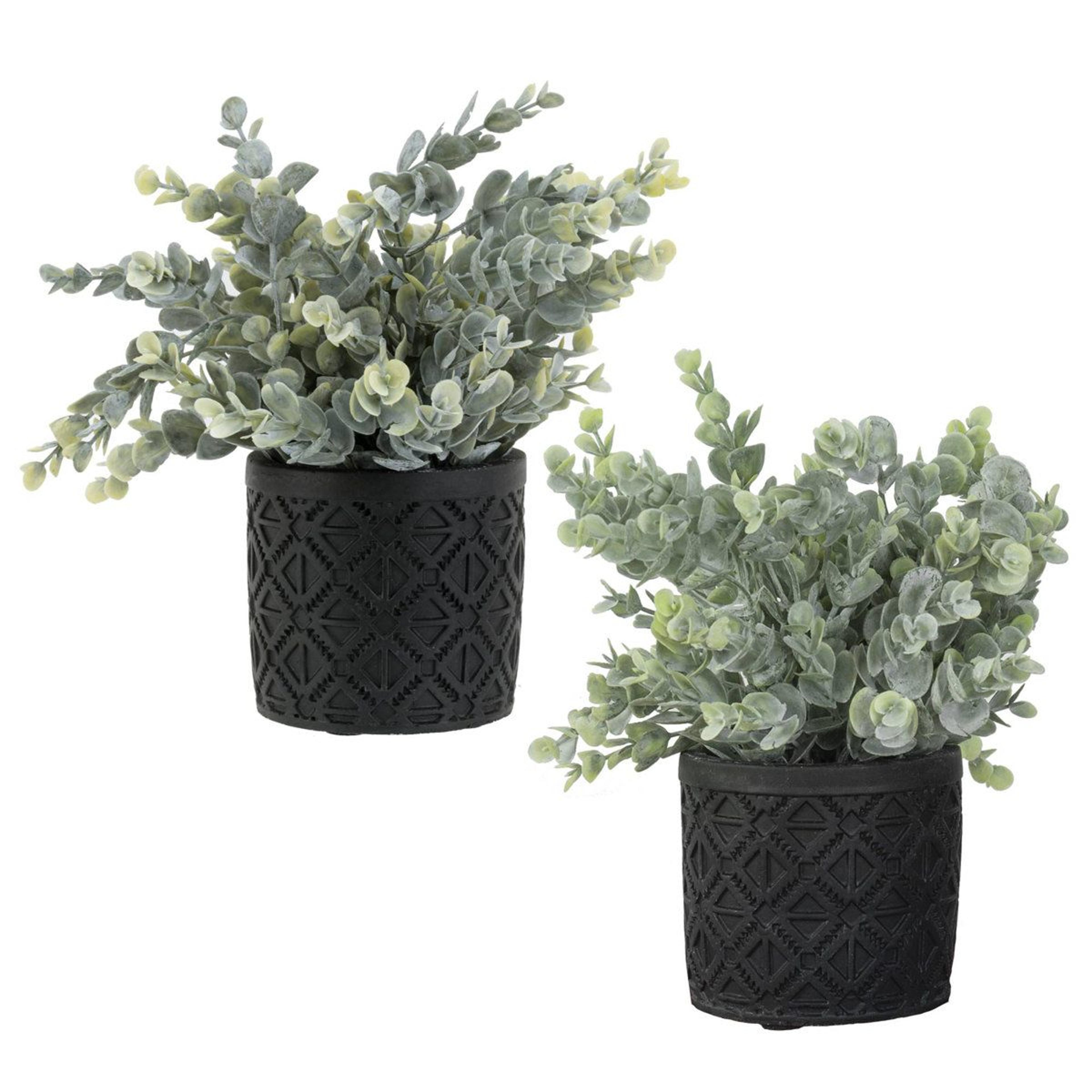 lifelike artificial eucalyptus plants in black concrete pots set of 2