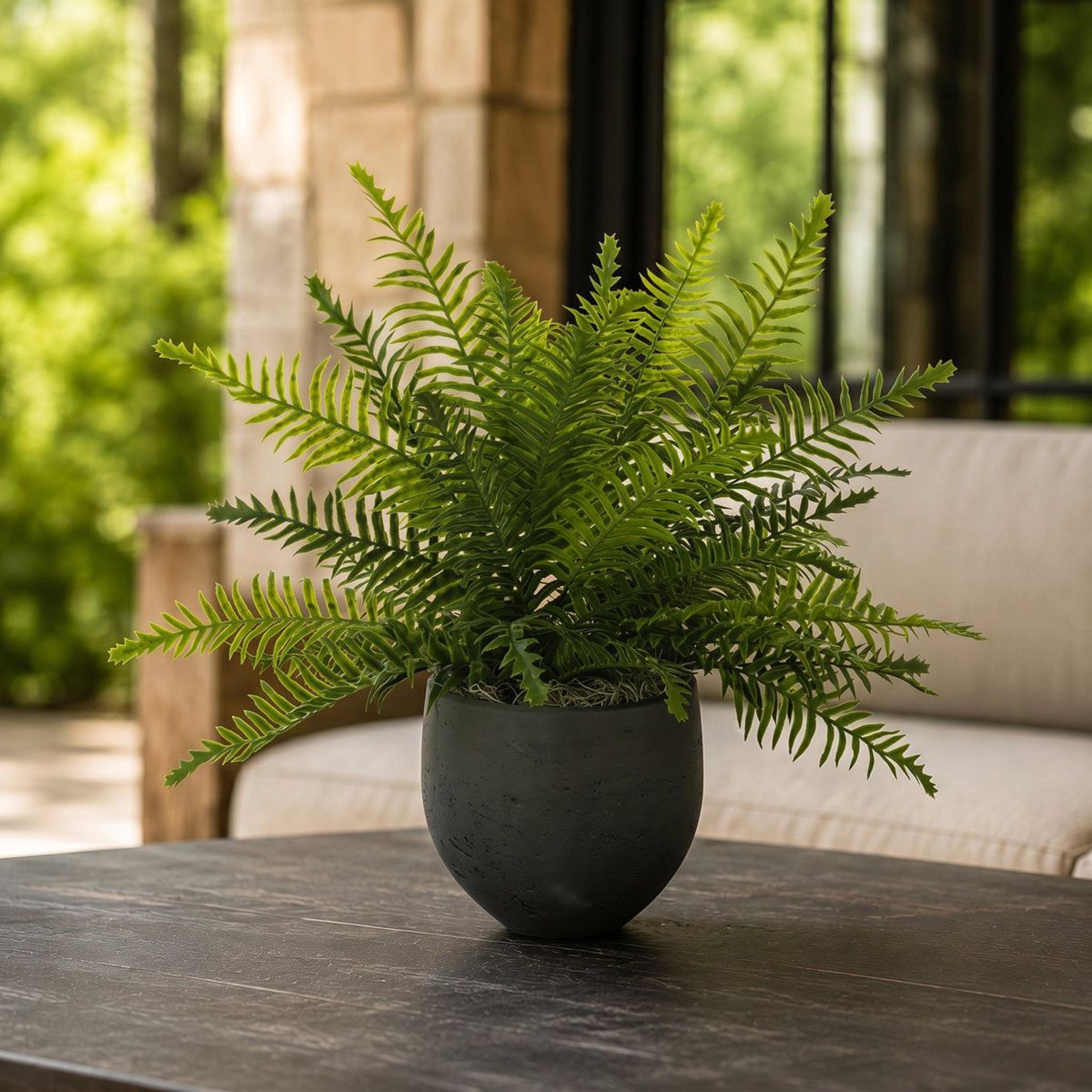 kenley uv resistant artificial fern in fiberstone pot