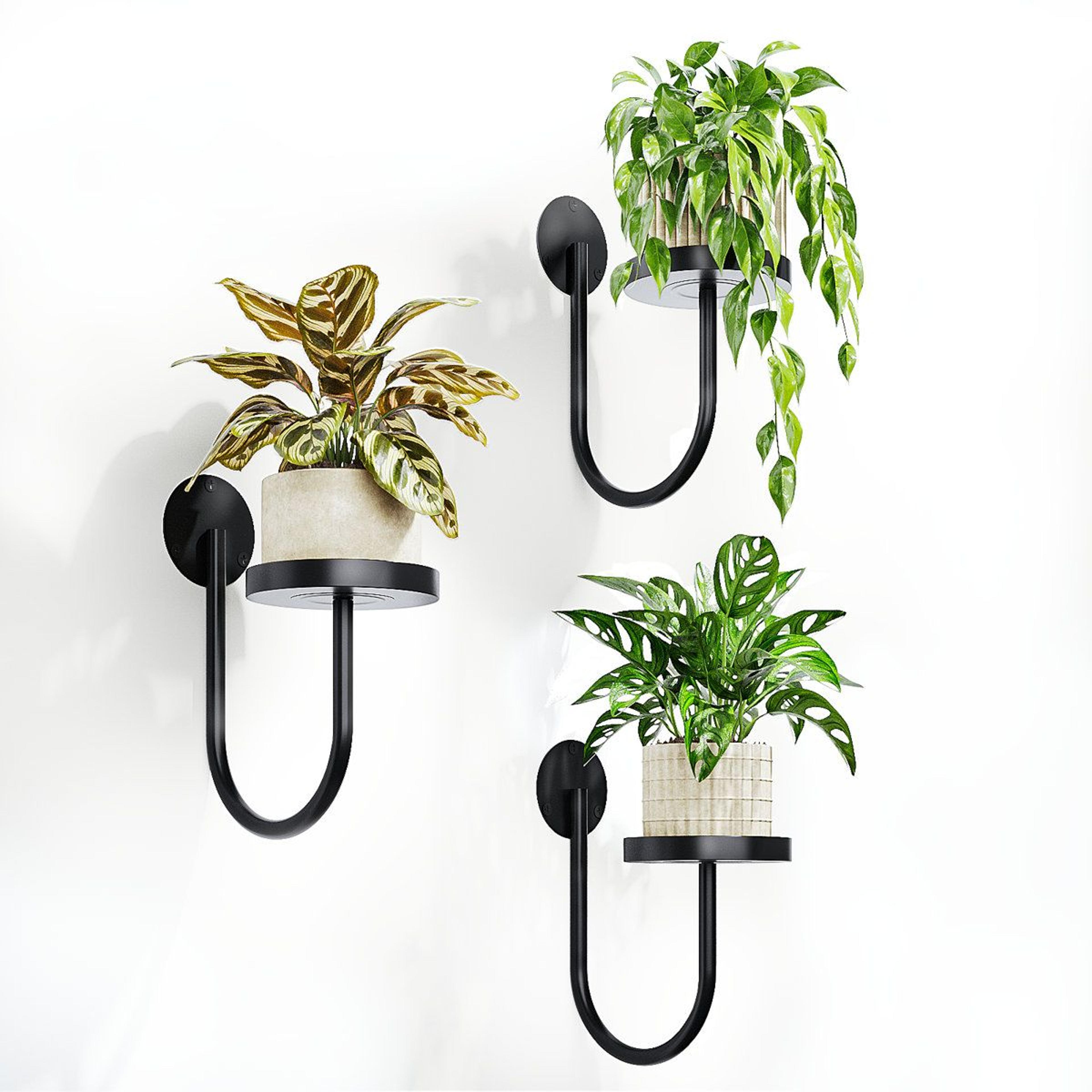 Black 3 Pack Wall Hanging Planters For Indoor Decor 3