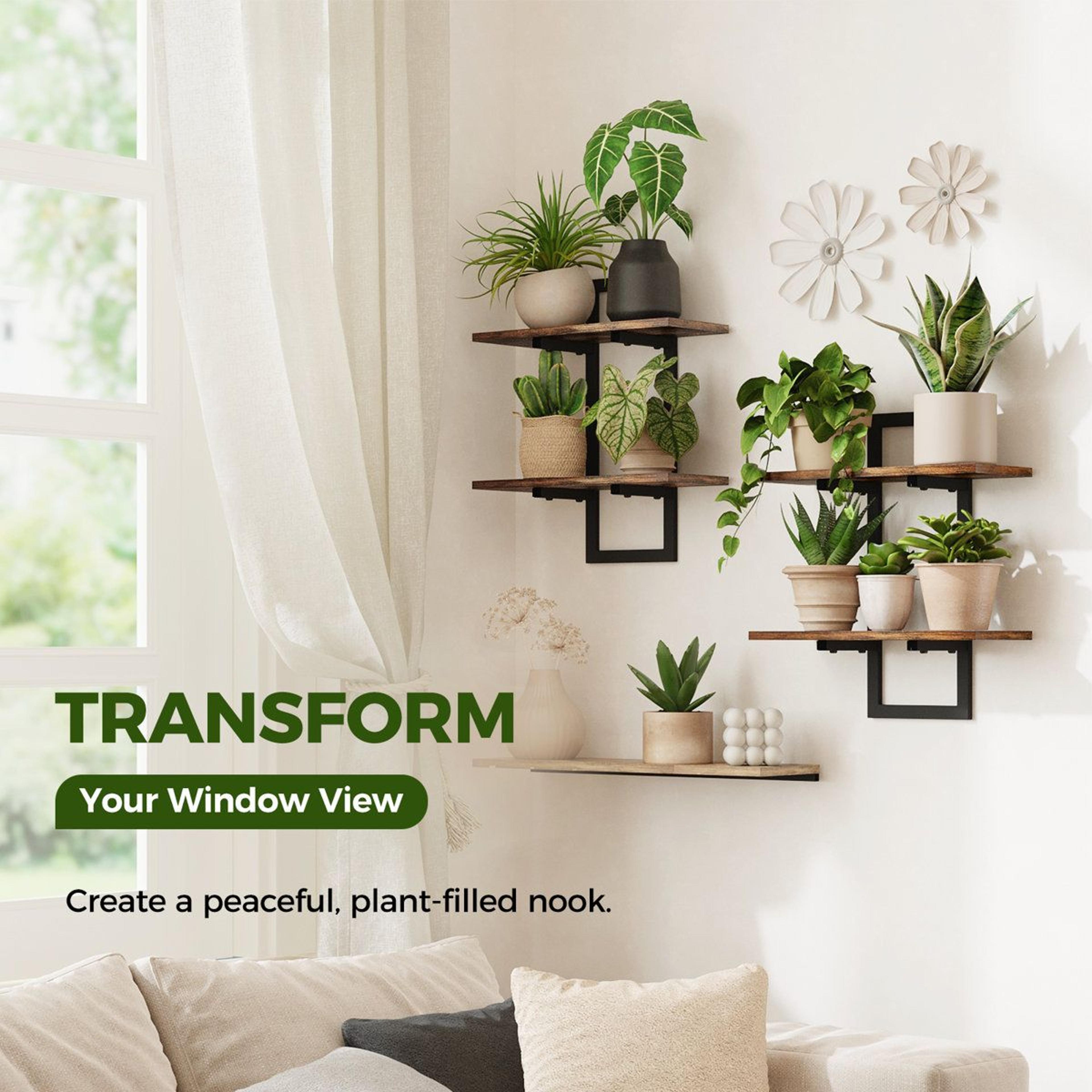 Ebern Designs Floating Plant Shelves For Indoor Plants Wall Decor Set Of 2 Brown 6