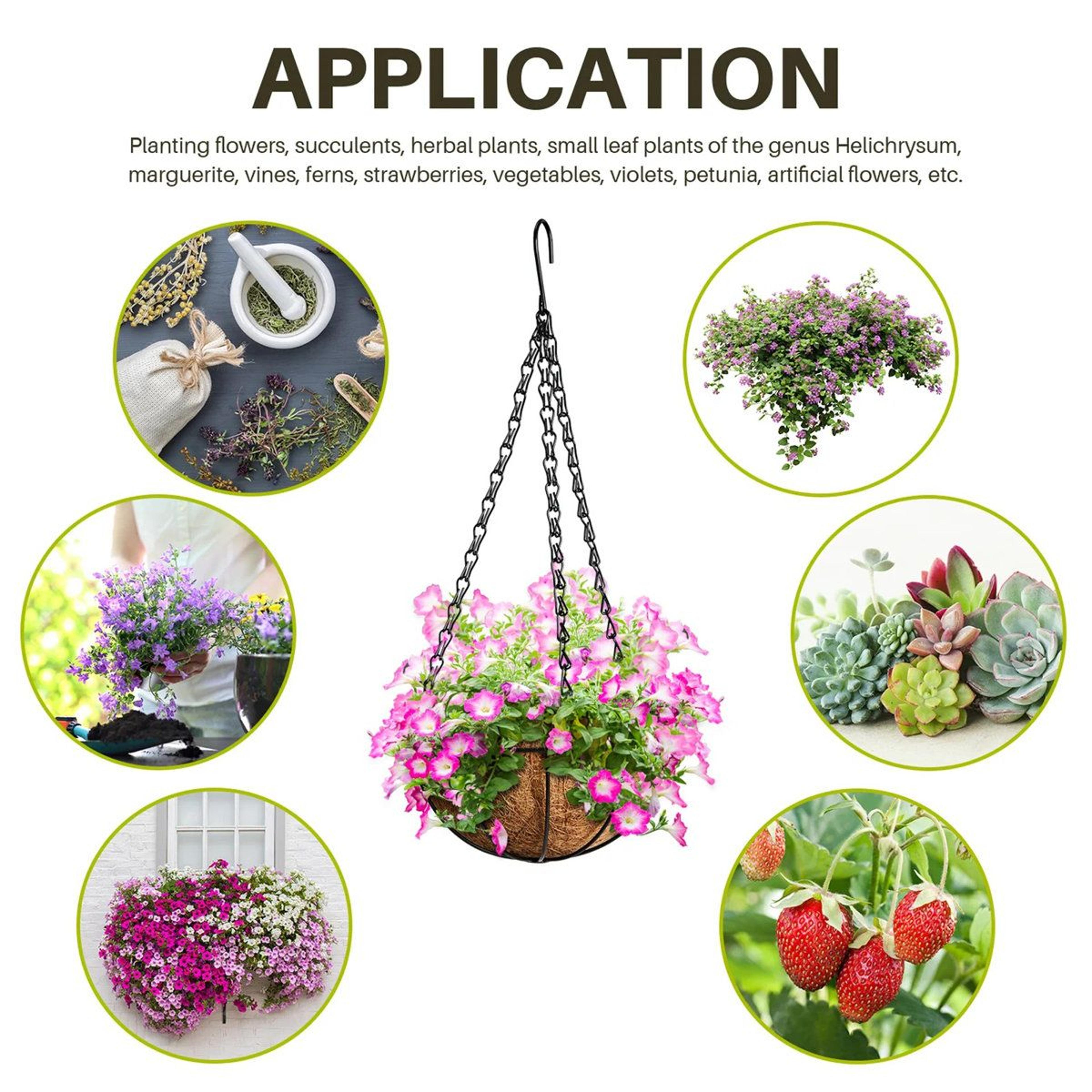 Delania 12 Inch Set Of 5 Wrought Iron Hanging Planters With Coconut Fiber Liners 2