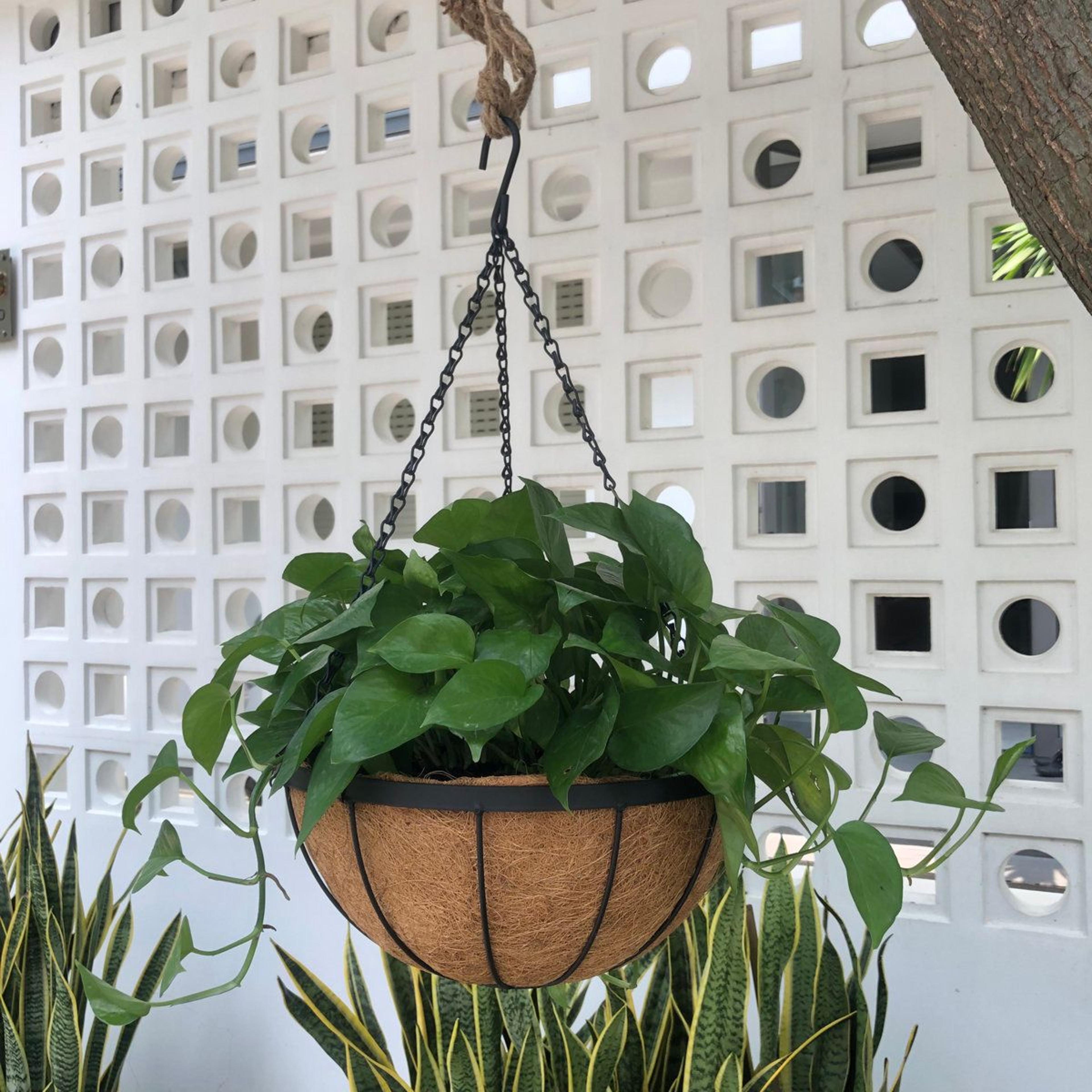 Delania 12 Inch Set Of 5 Wrought Iron Hanging Planters With Coconut Fiber Liners 4