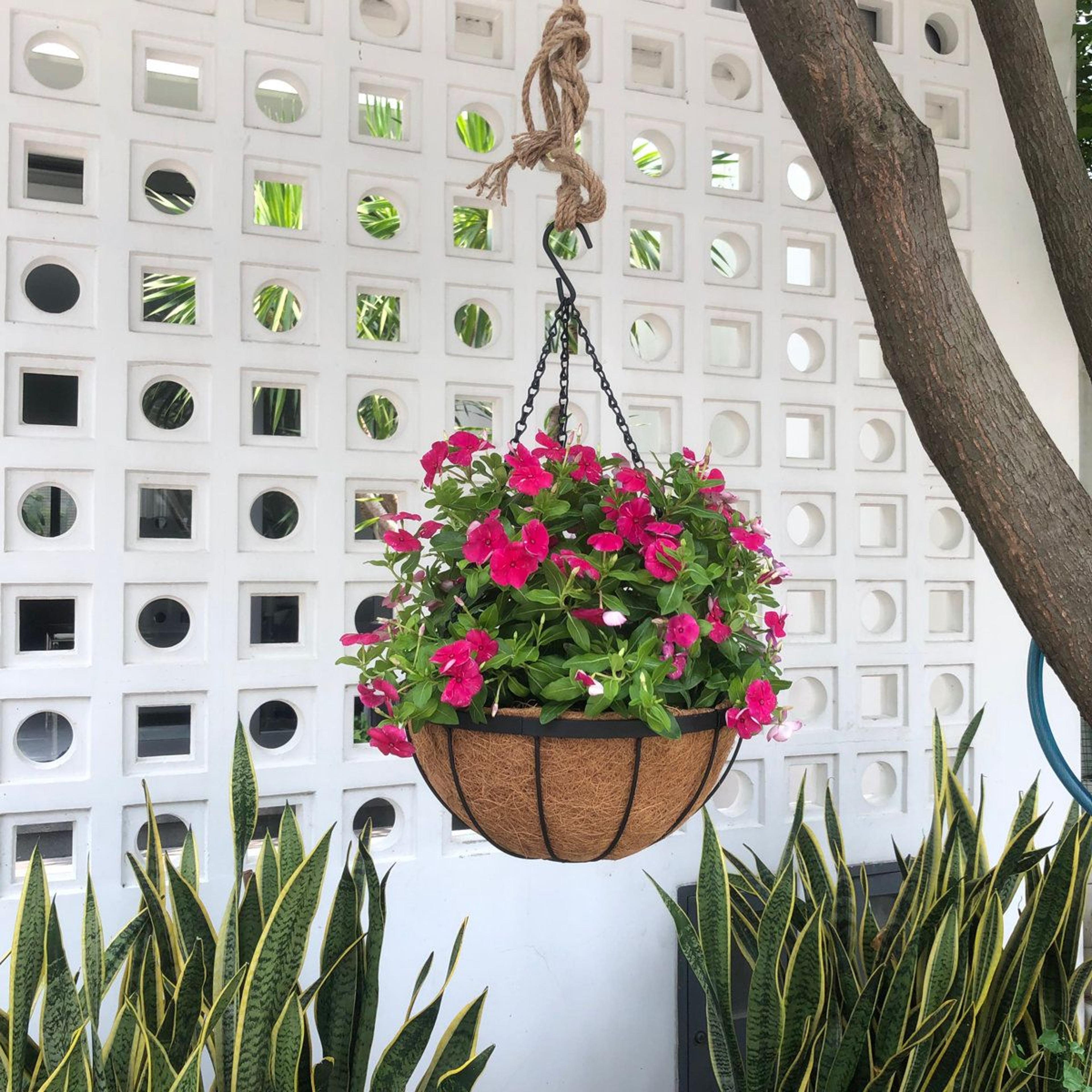 Delania 12 Inch Set Of 5 Wrought Iron Hanging Planters With Coconut Fiber Liners 7