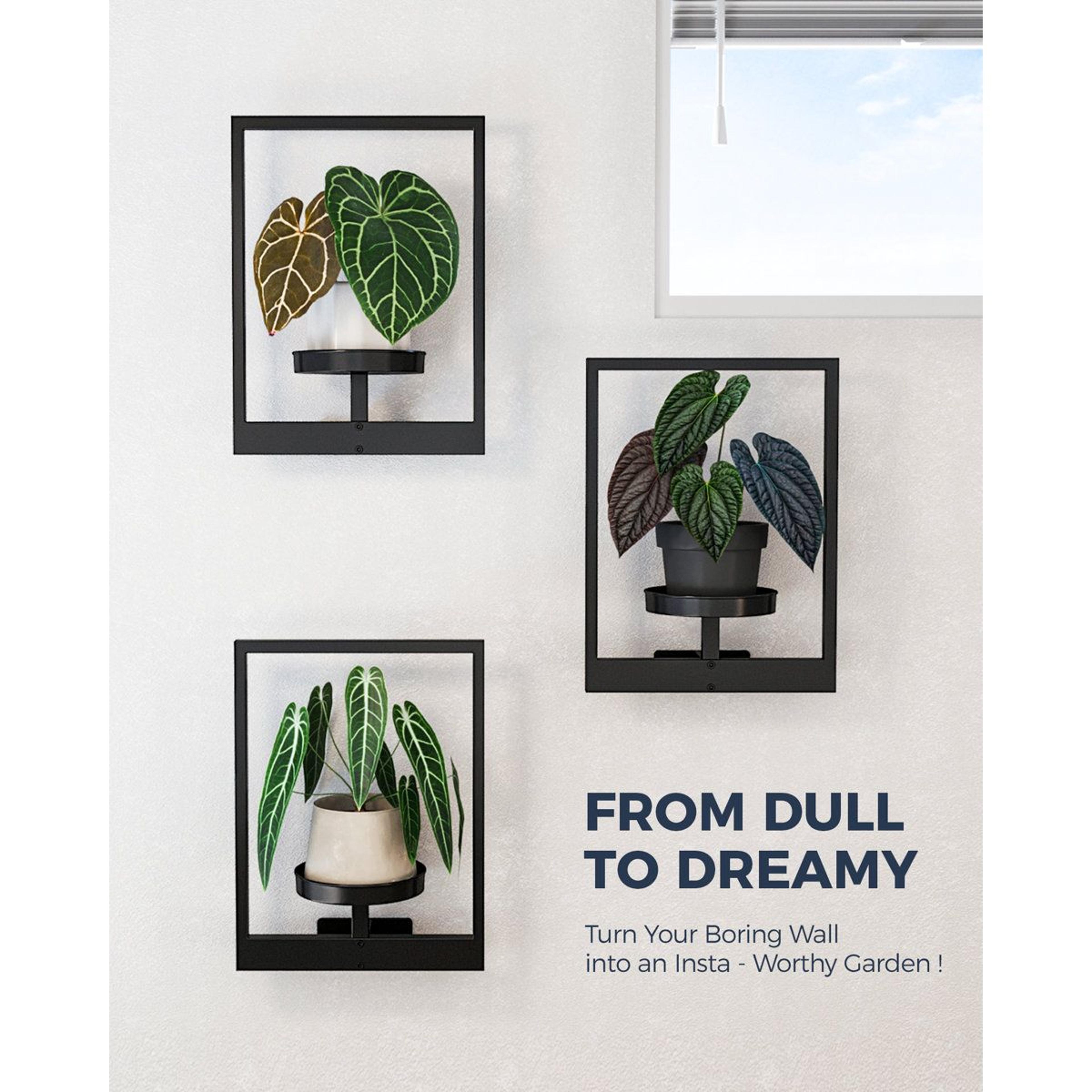3 Pack Wall Hanging Planters Black Metal Plant Shelves For Indoor Outdoor Decor 1