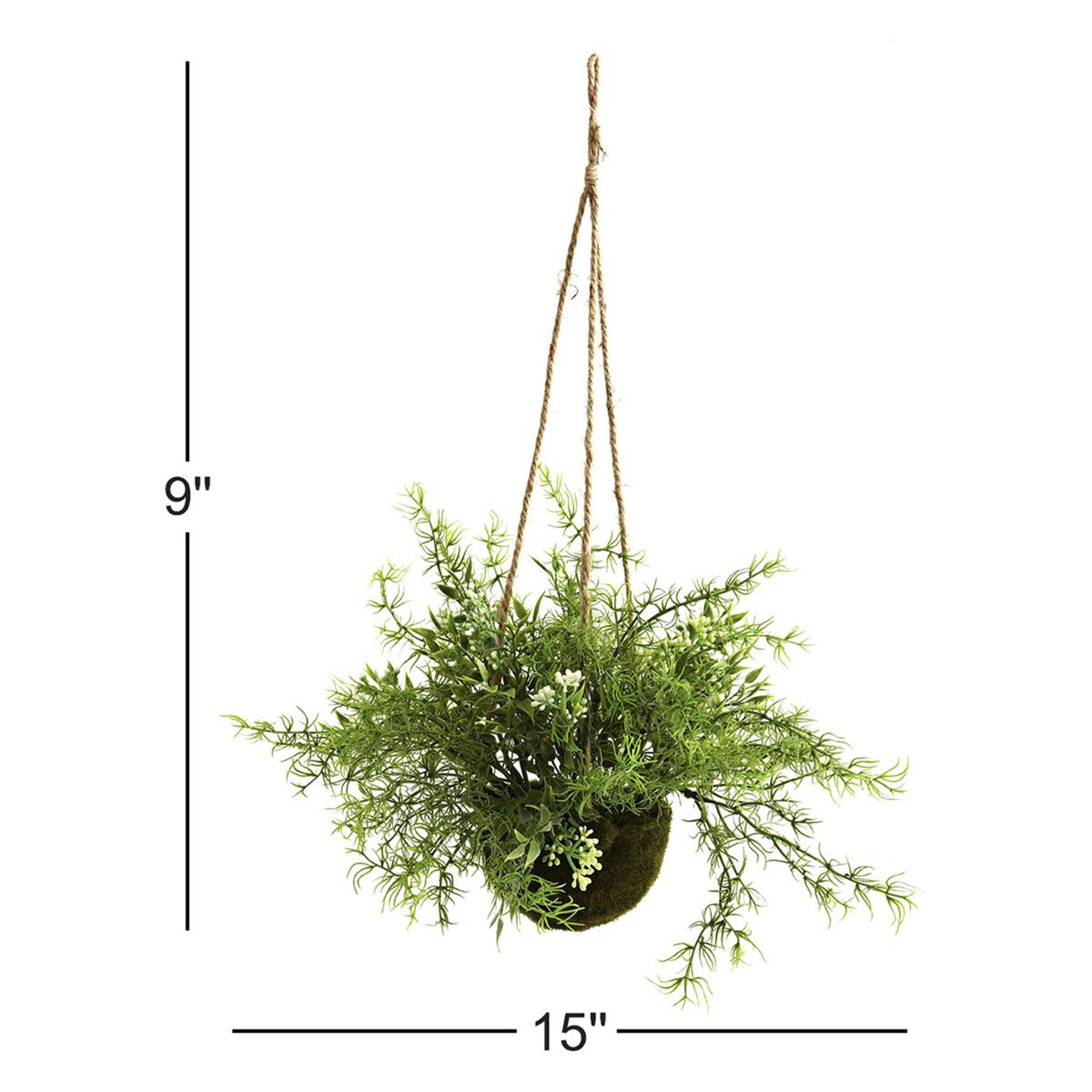 Ruscus Sedum Springeri Artificial Hanging Plants Set Of 3 1