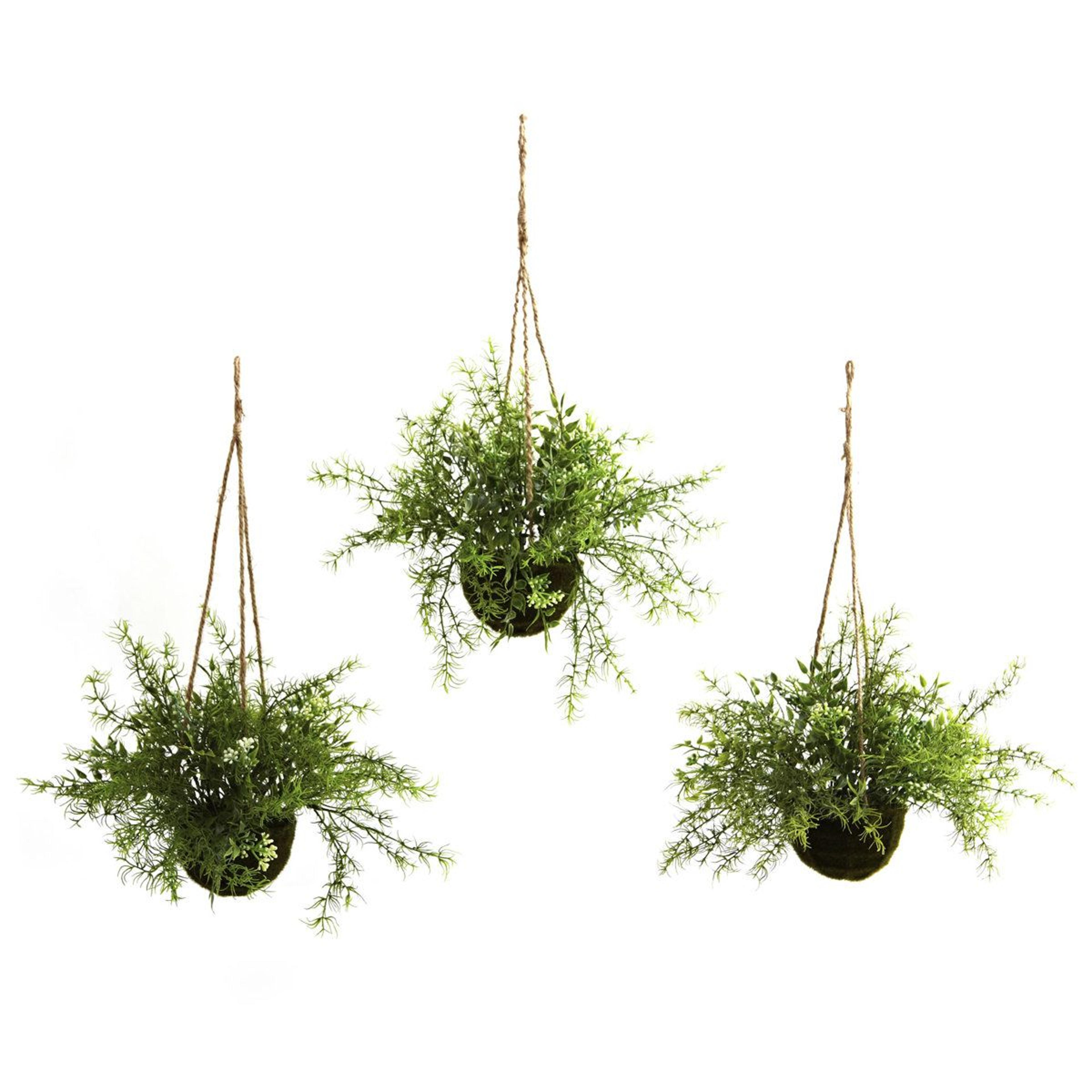 ruscus sedum springeri artificial hanging plants set of 3