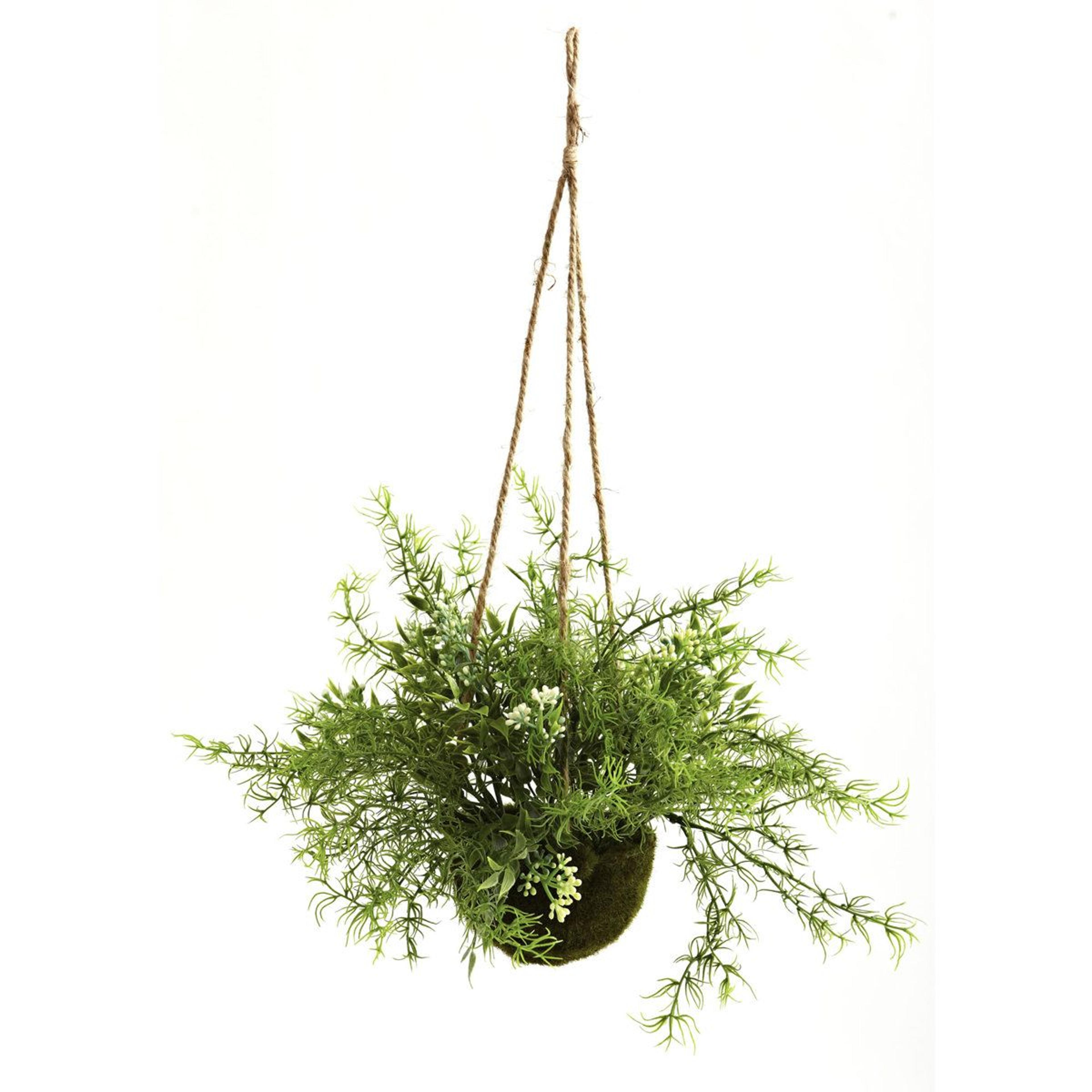 Ruscus Sedum Springeri Artificial Hanging Plants Set Of 3 2