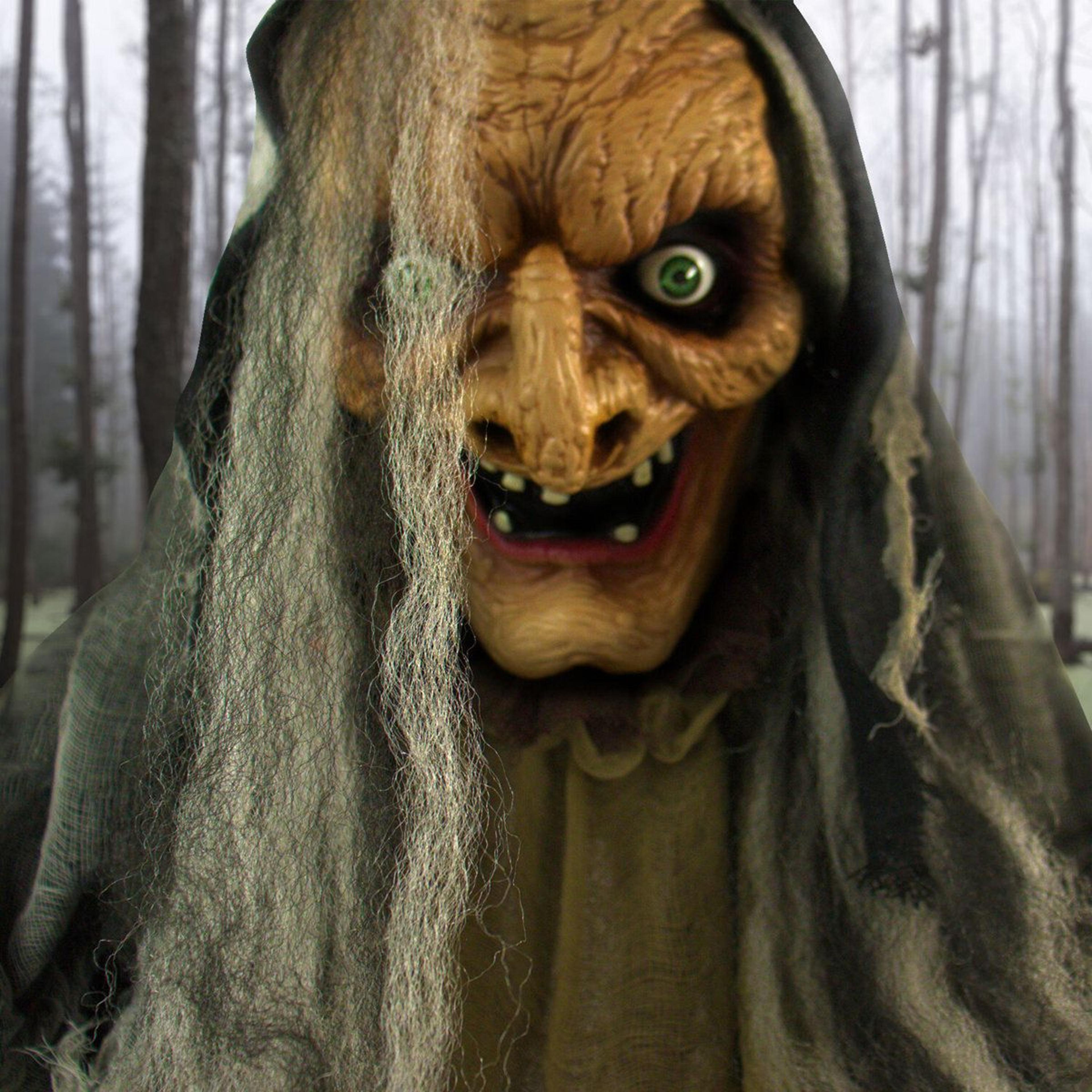 53 Ft Animatronic Haunted Witch Display With LED Eyes And Sound 8