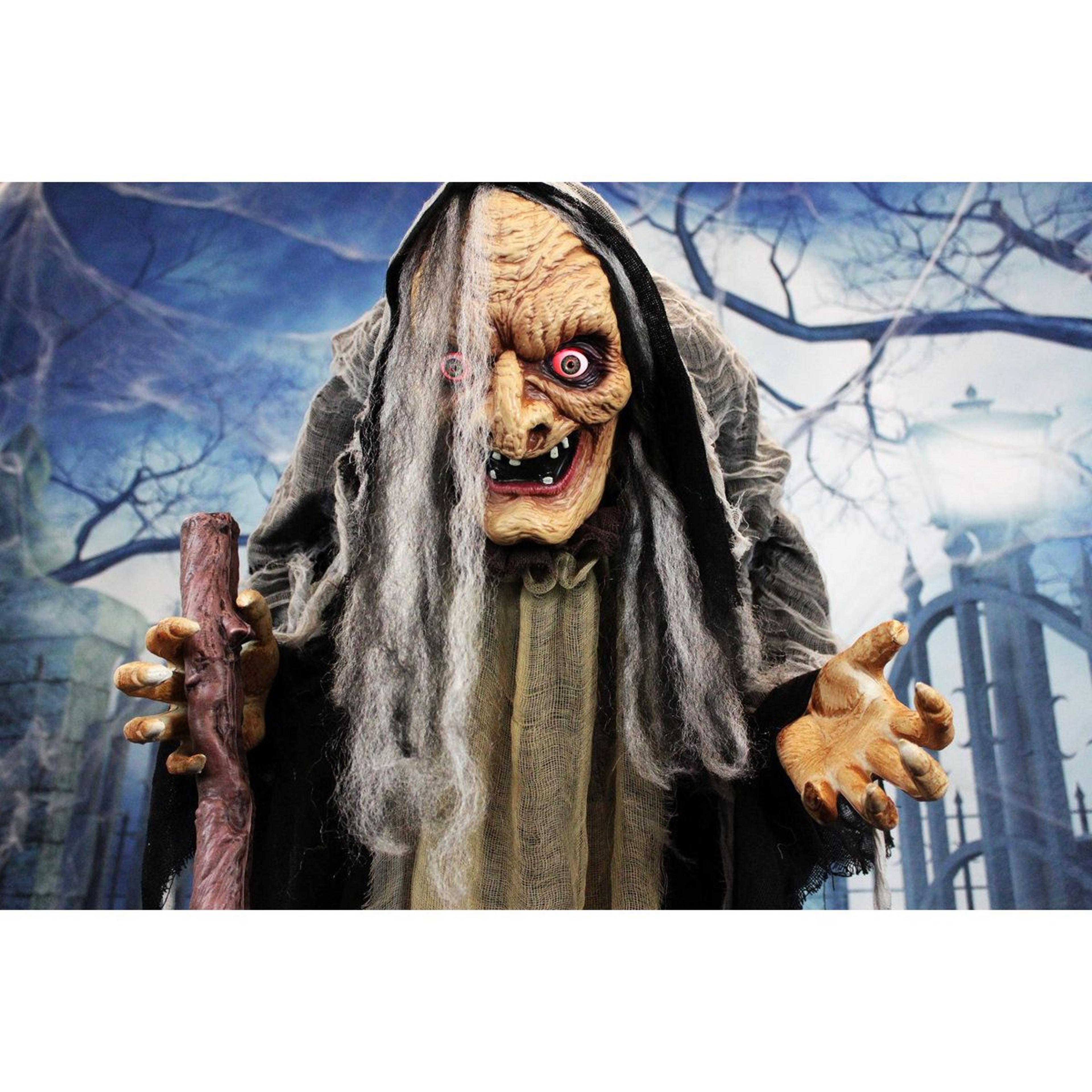 53 Ft Animatronic Haunted Witch Display With LED Eyes And Sound 4