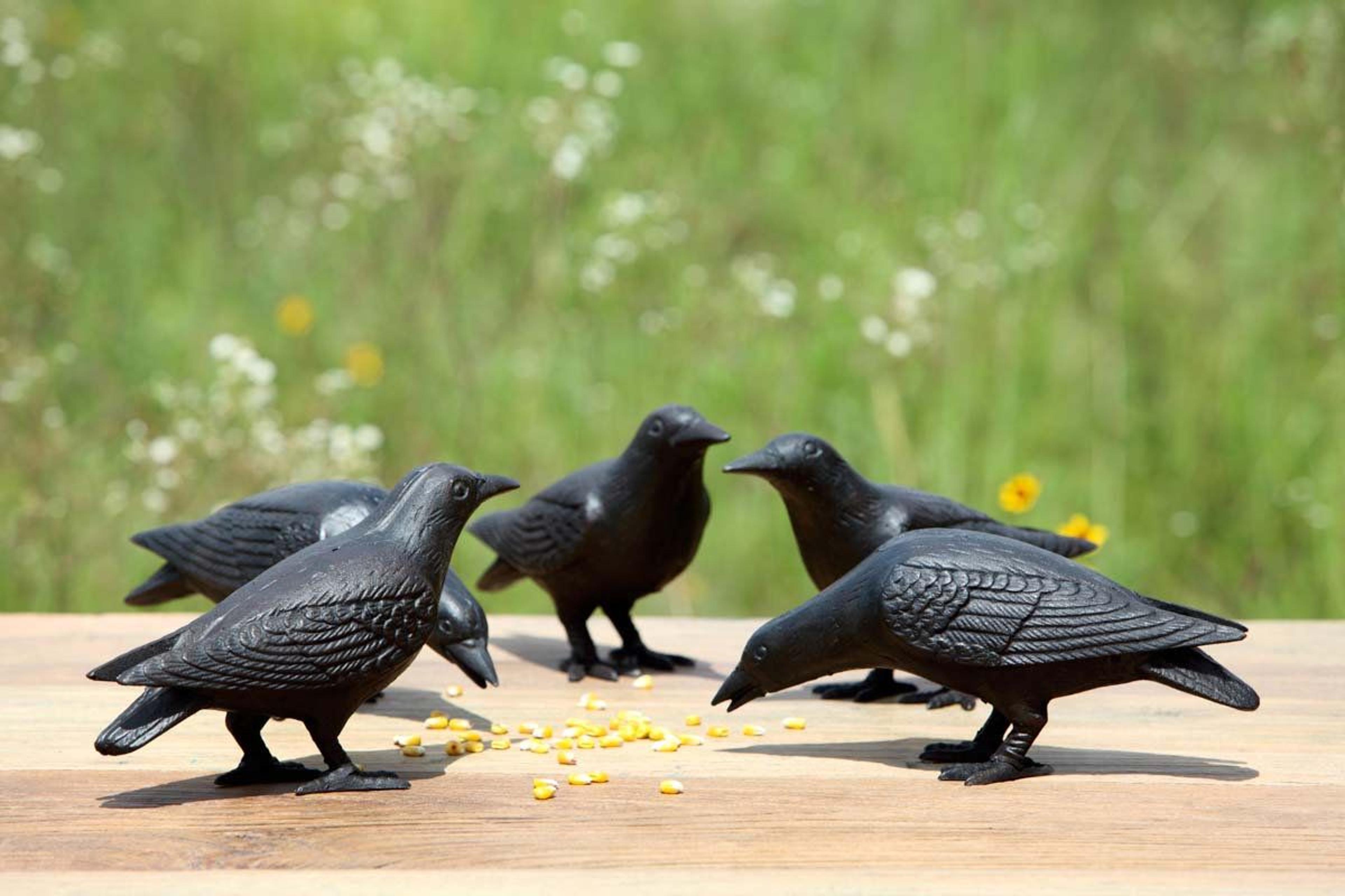 cast iron crow figurines set of 2 decorative bird sculptures