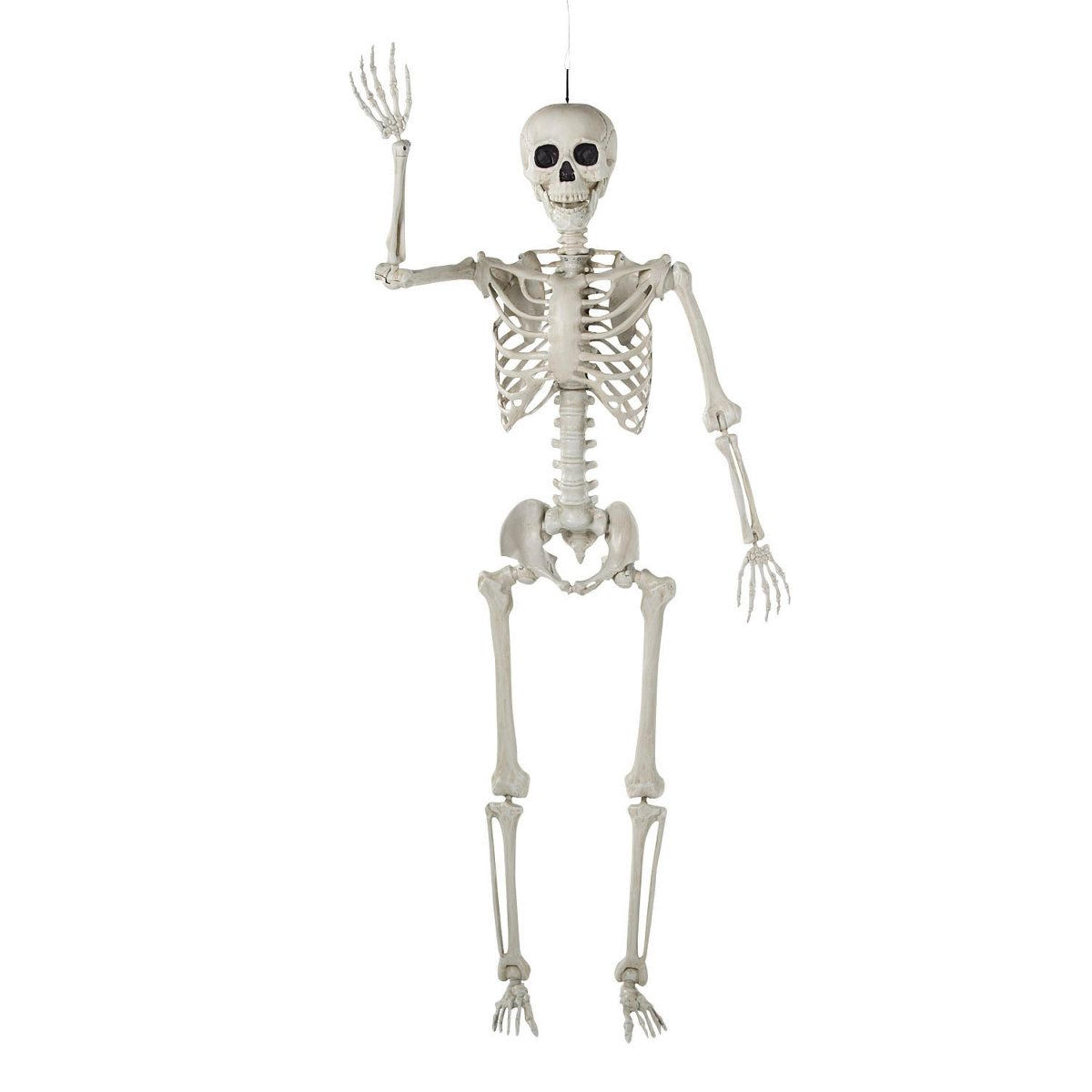 life-size posable halloween skeleton decoration for indoor and outdoor display