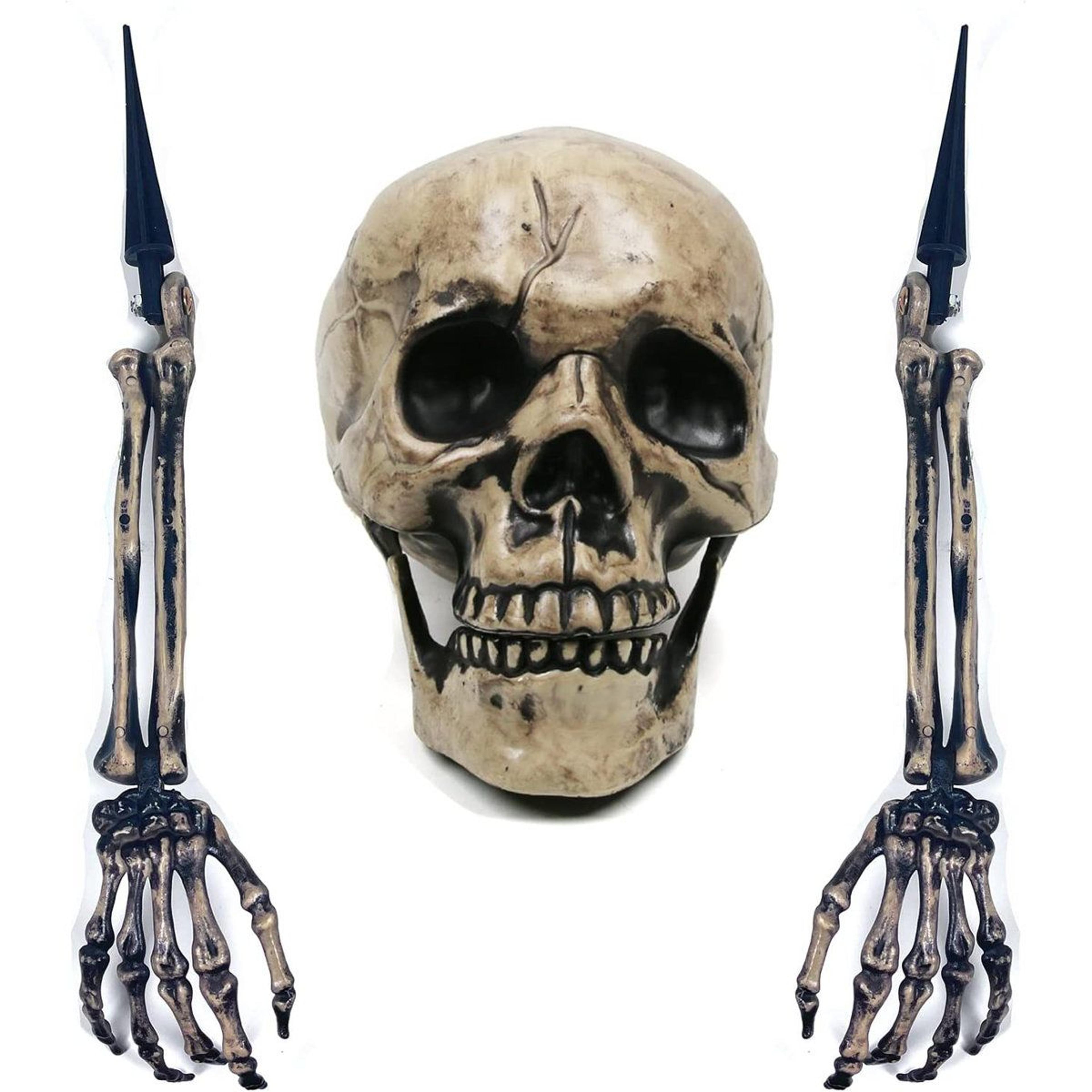 halloween skeleton groundbreaker yard stakes for outdoor graveyard decorations
