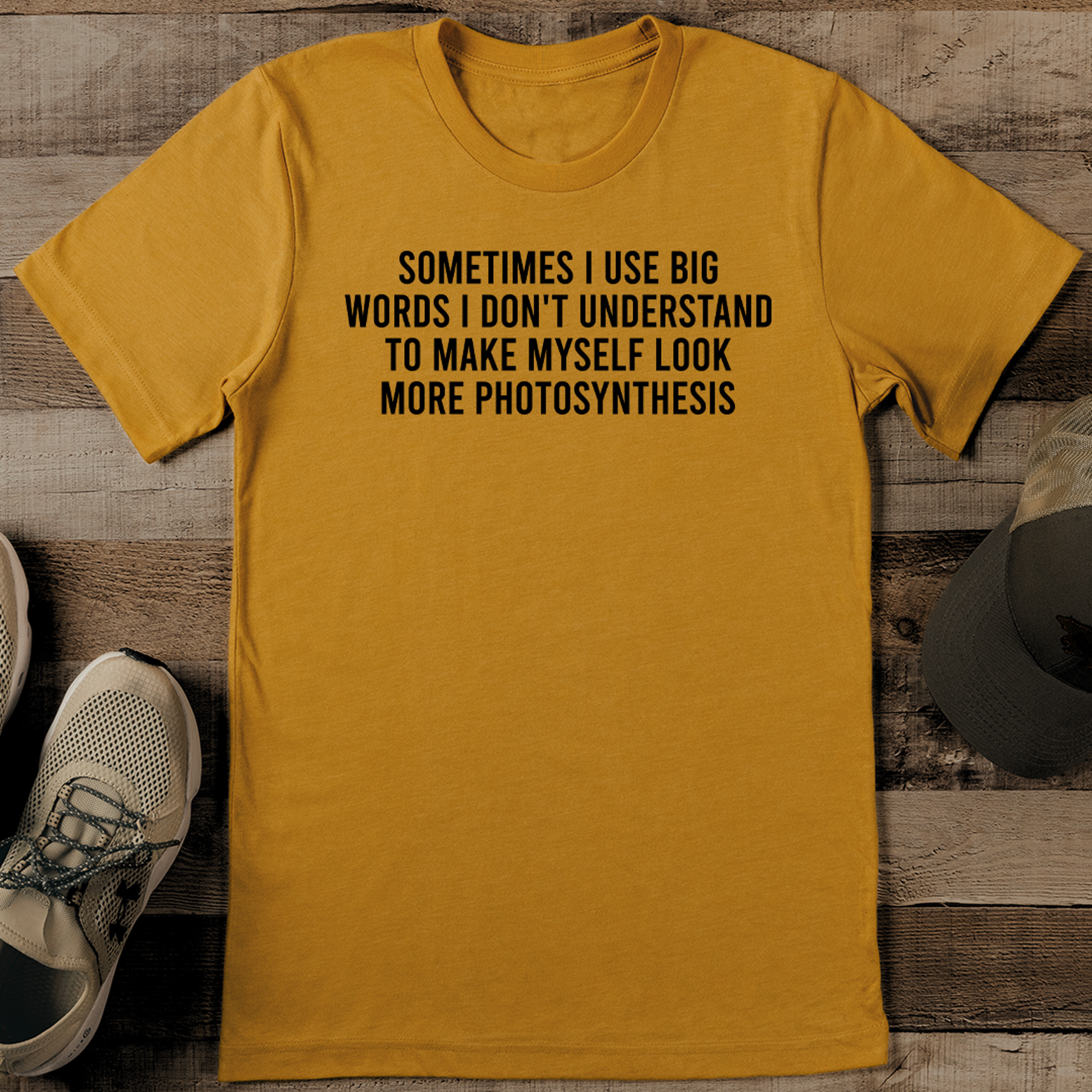 sometimes i use big words i don't understand to make myself tee