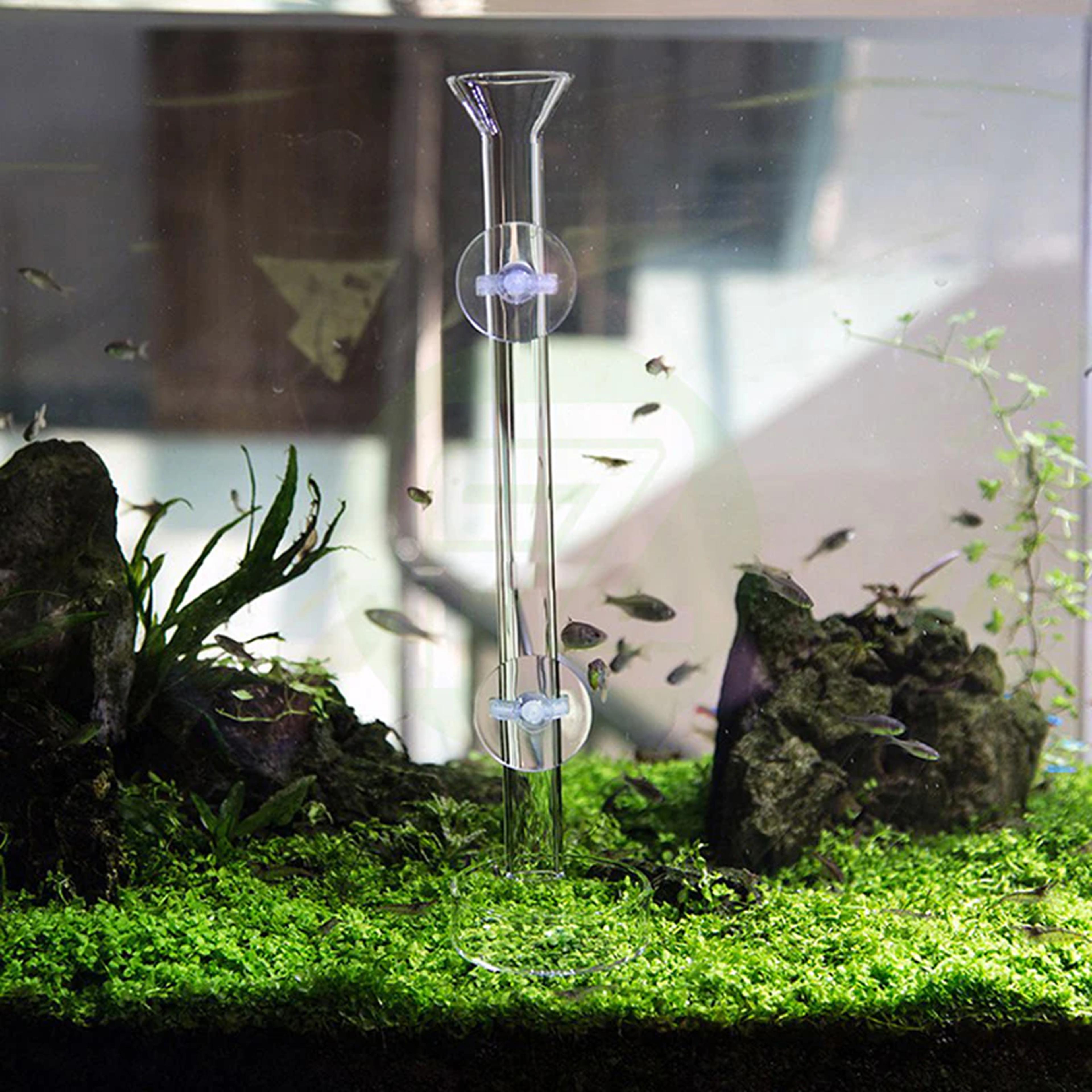 aquarium feeding tube