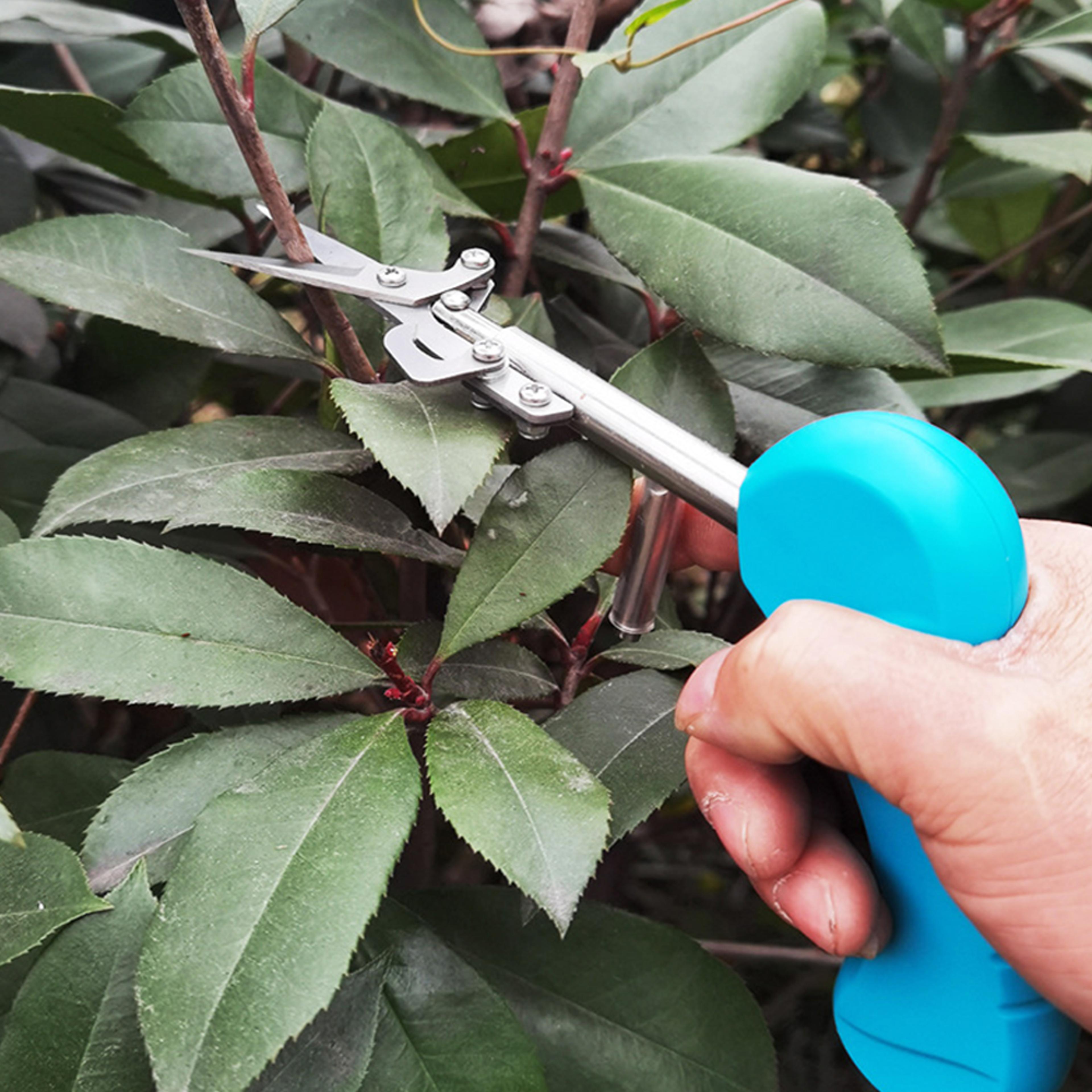 portable pointed gardening scissor