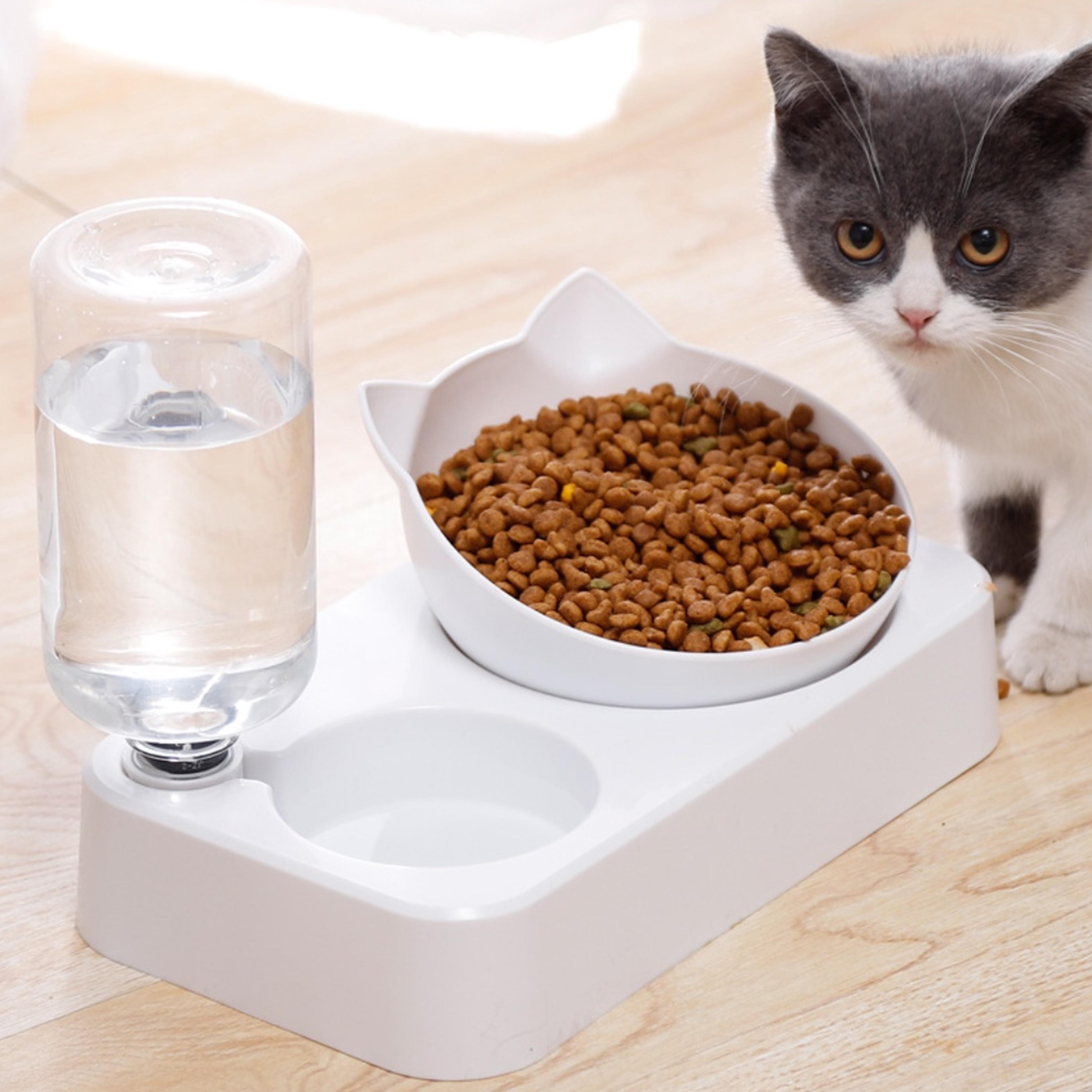 dog cat feeding double bowl