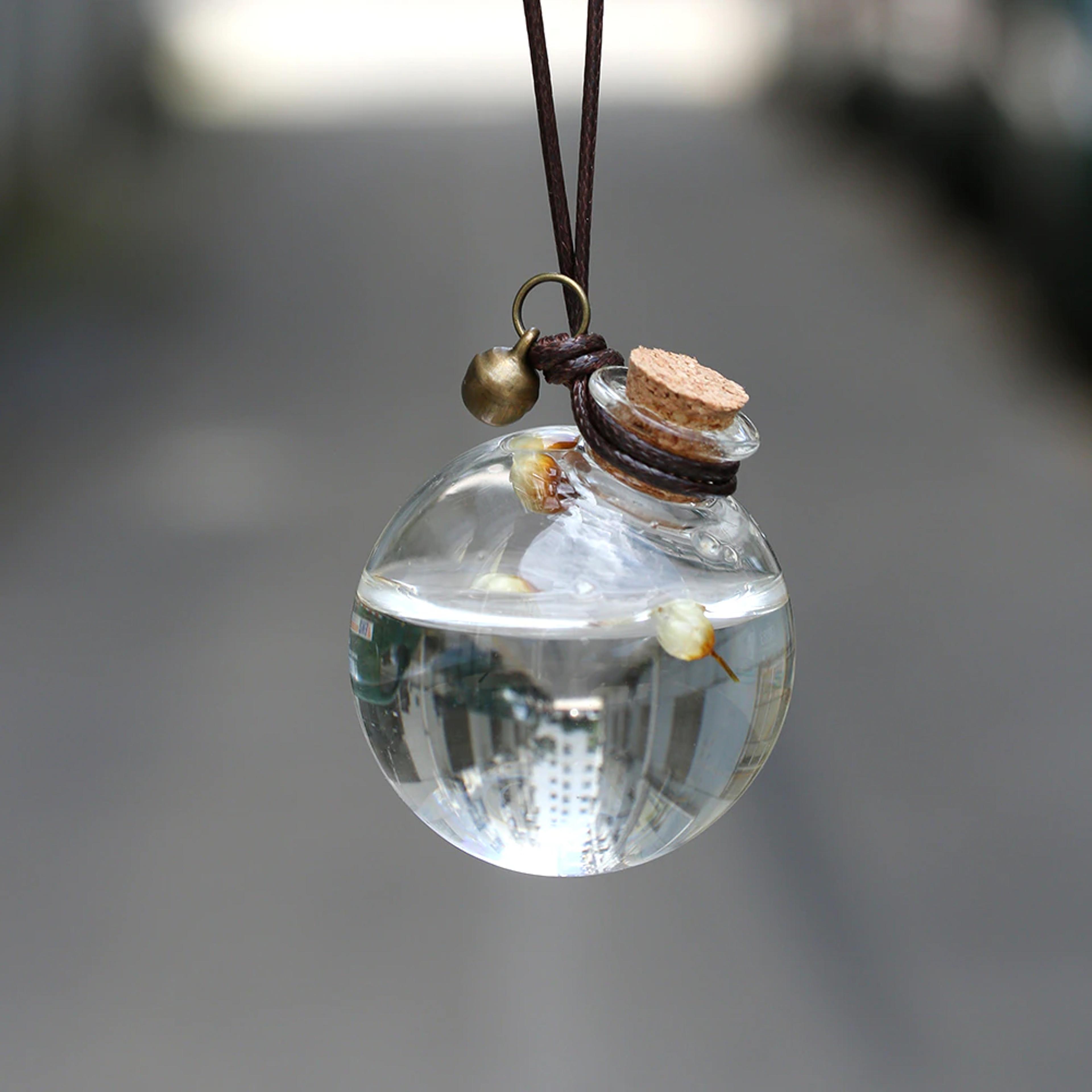 car bottle ornament