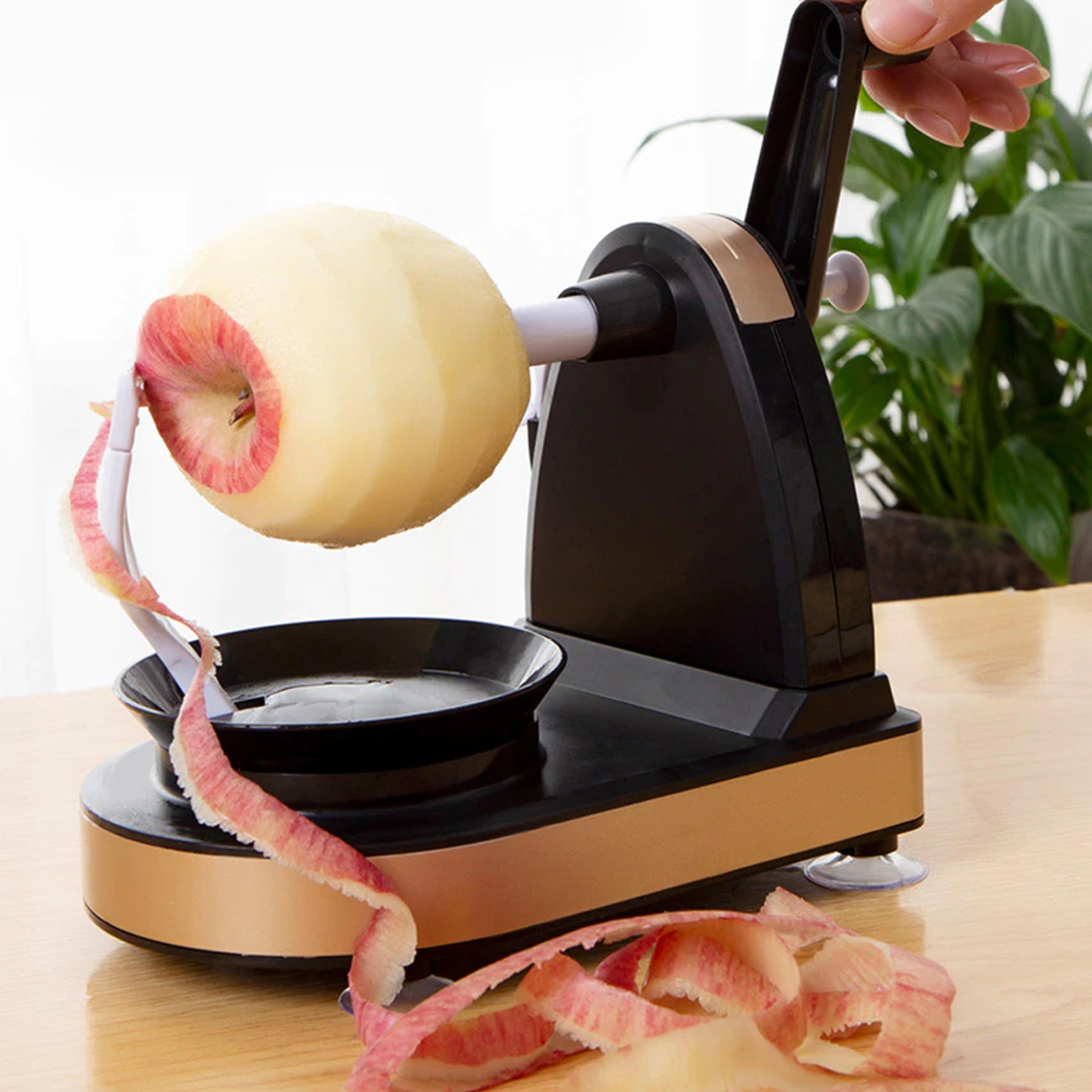rotaryfruitpeelermachine2.png