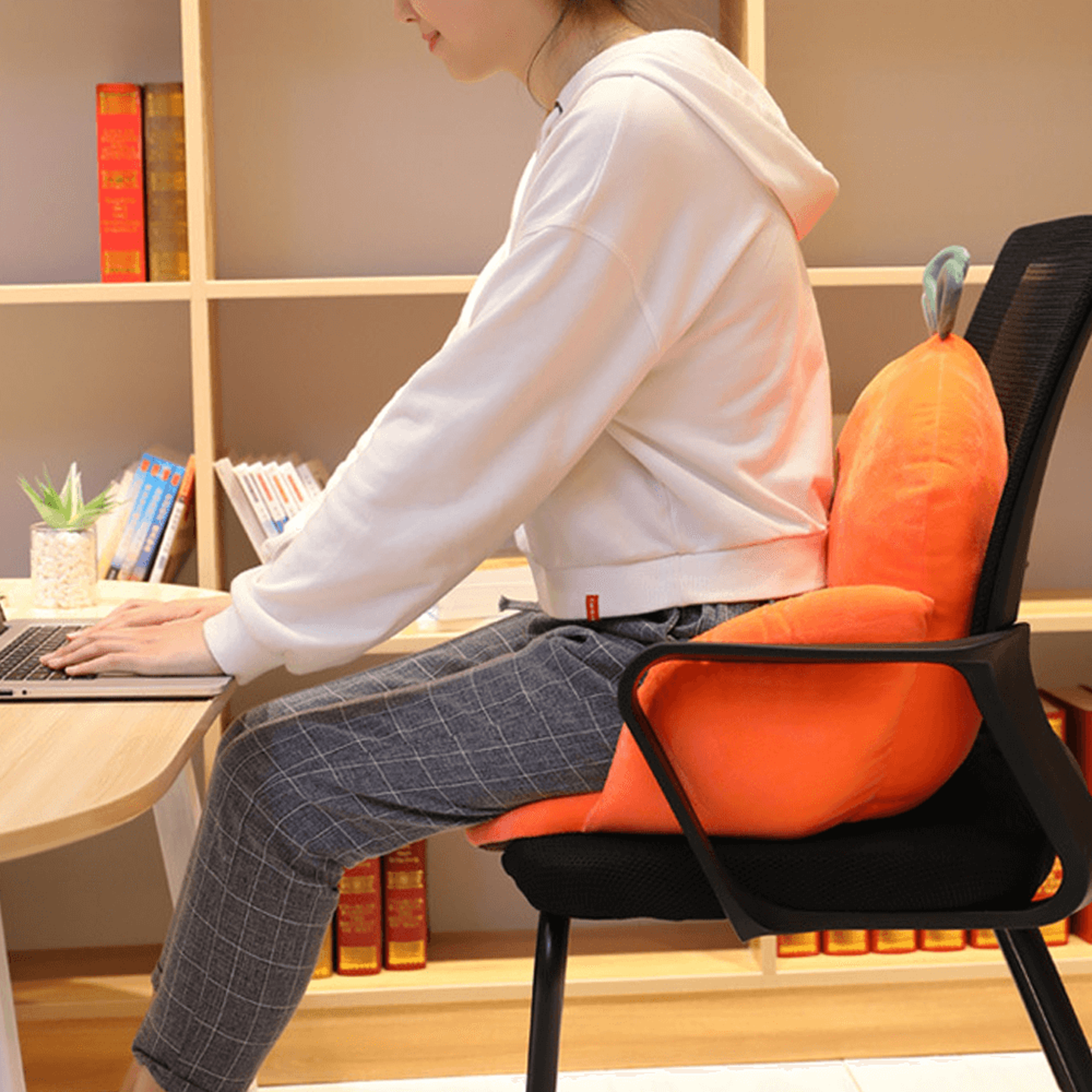 sedentary backrest cushion