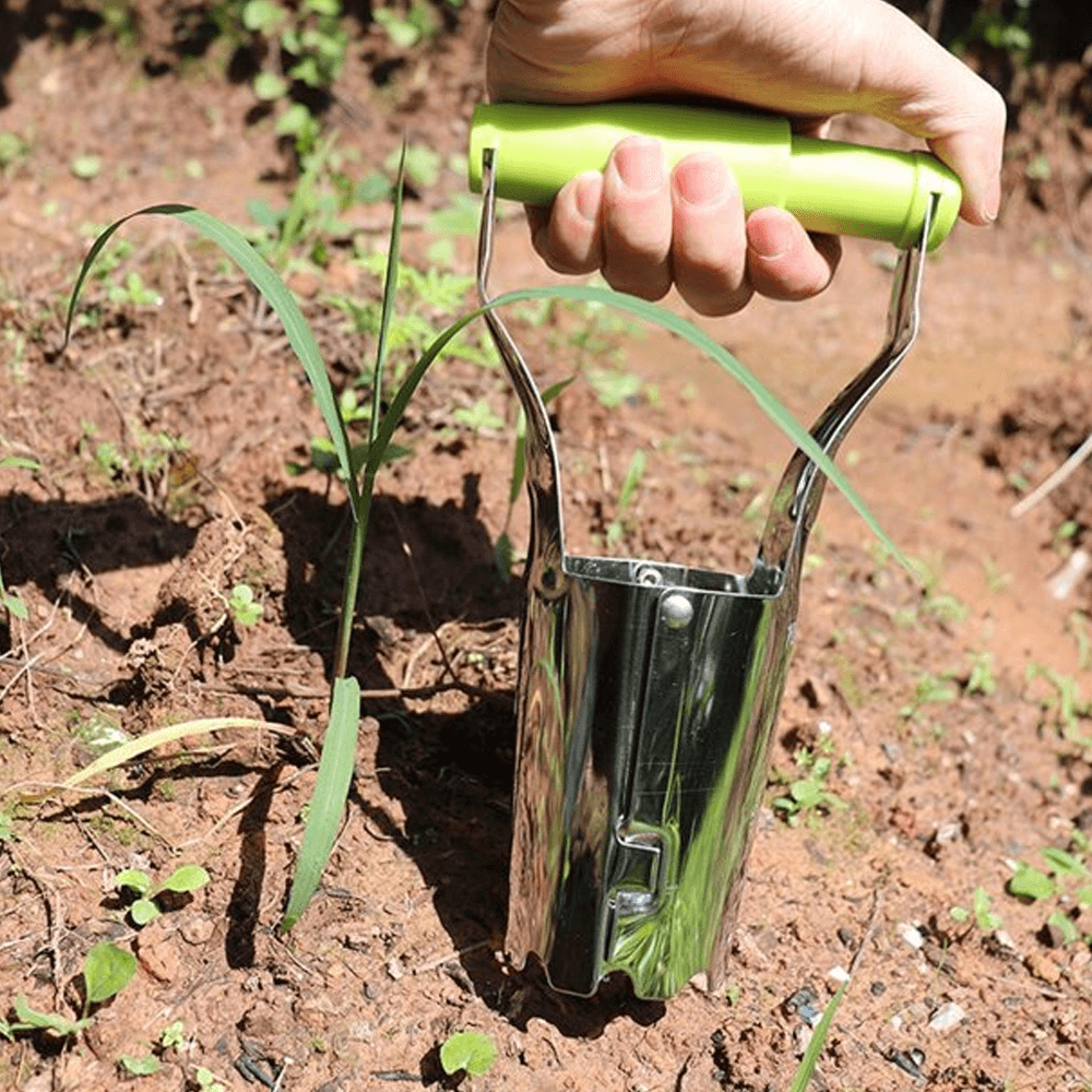 seedling easy transplanter