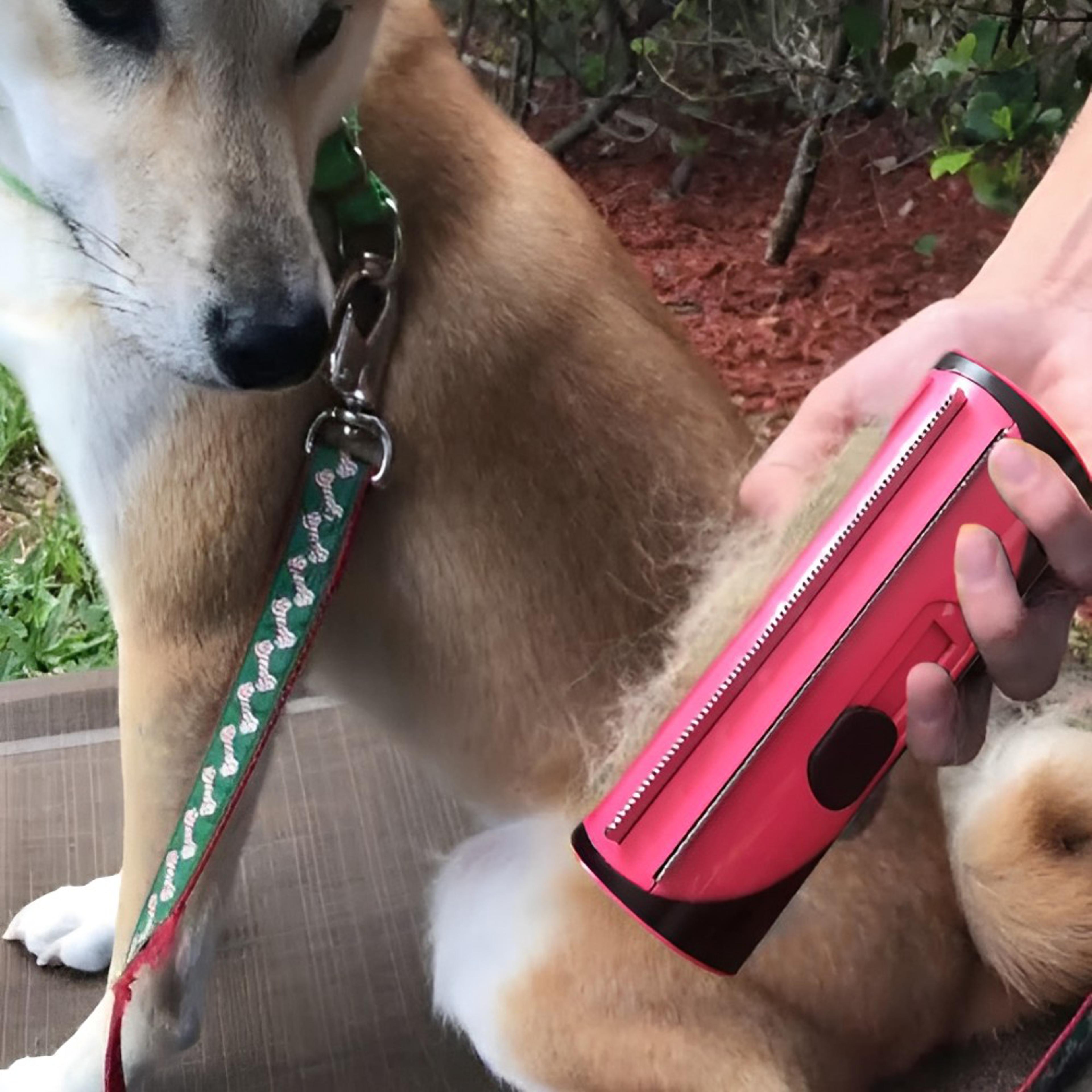 pet hair remover comb