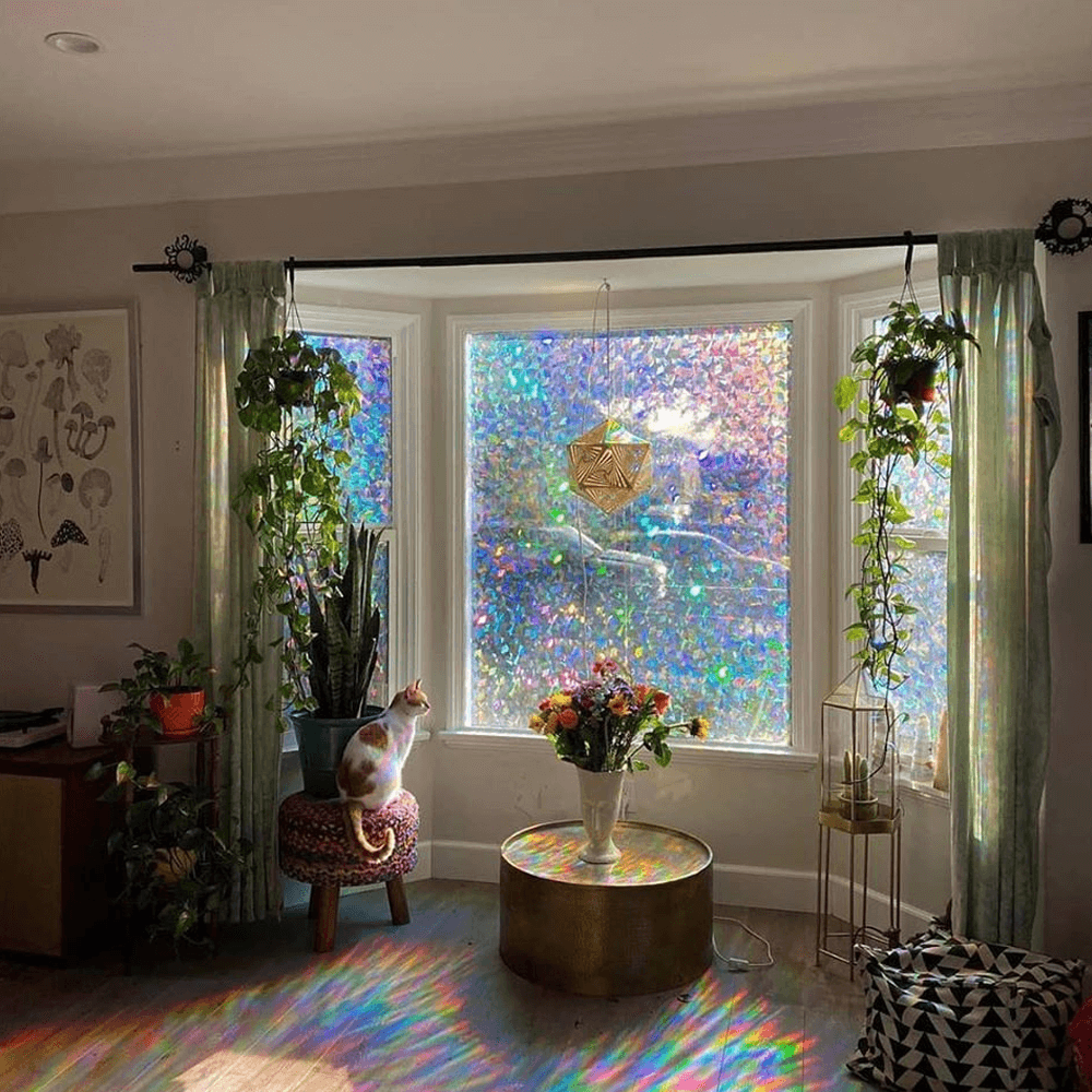 3d rainbow window film