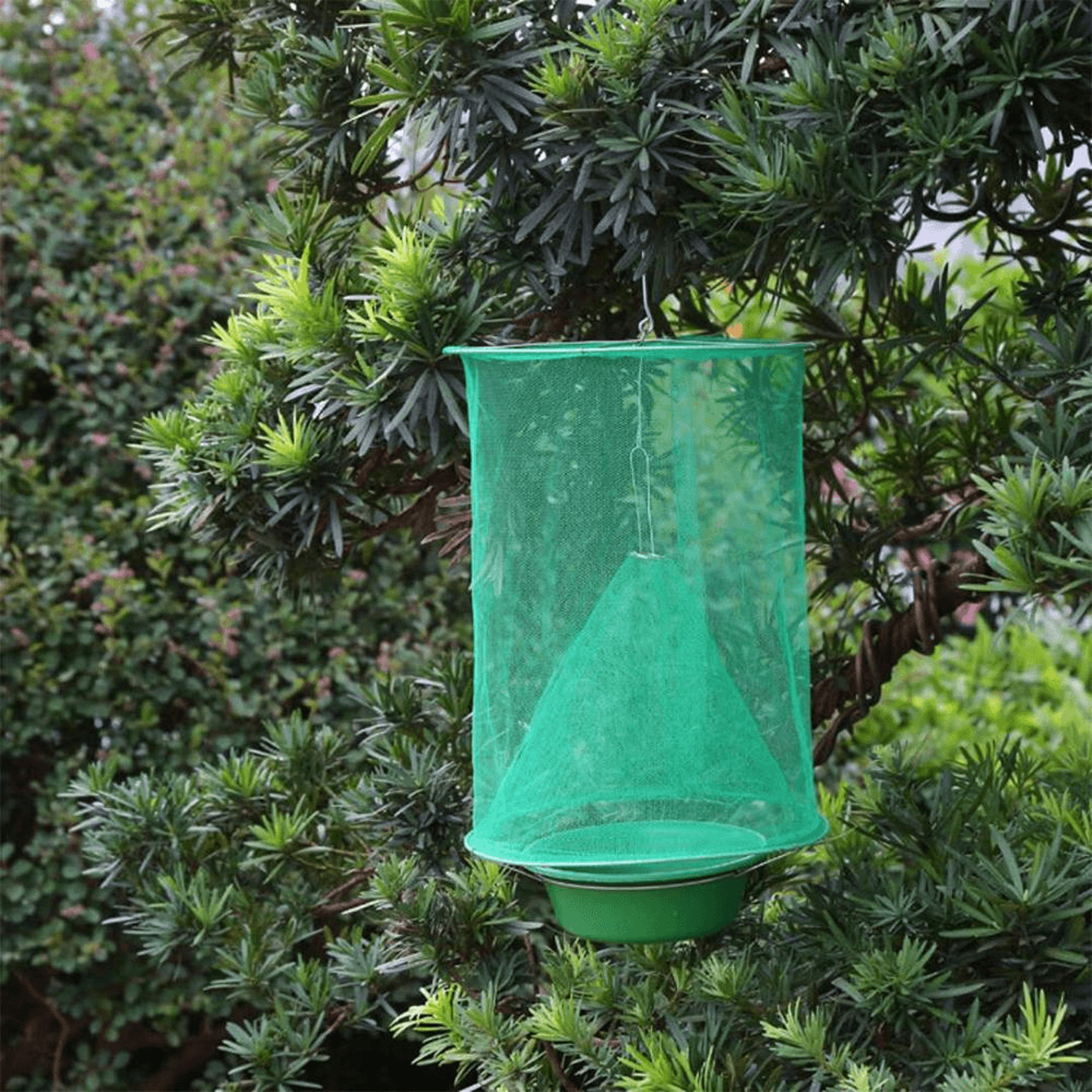 reusable eco-friendly odor free hanging fly trap
