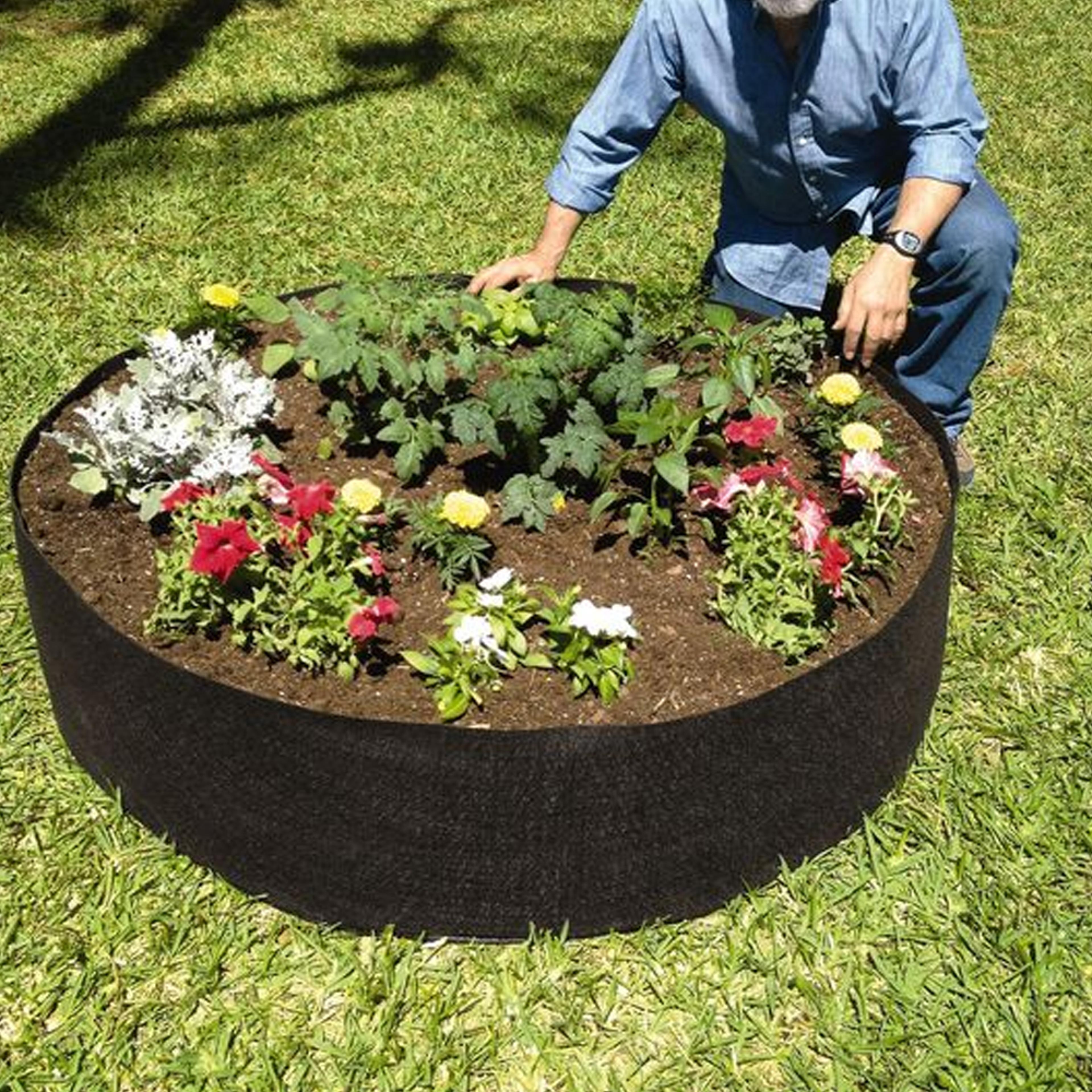 garden raised planting bed