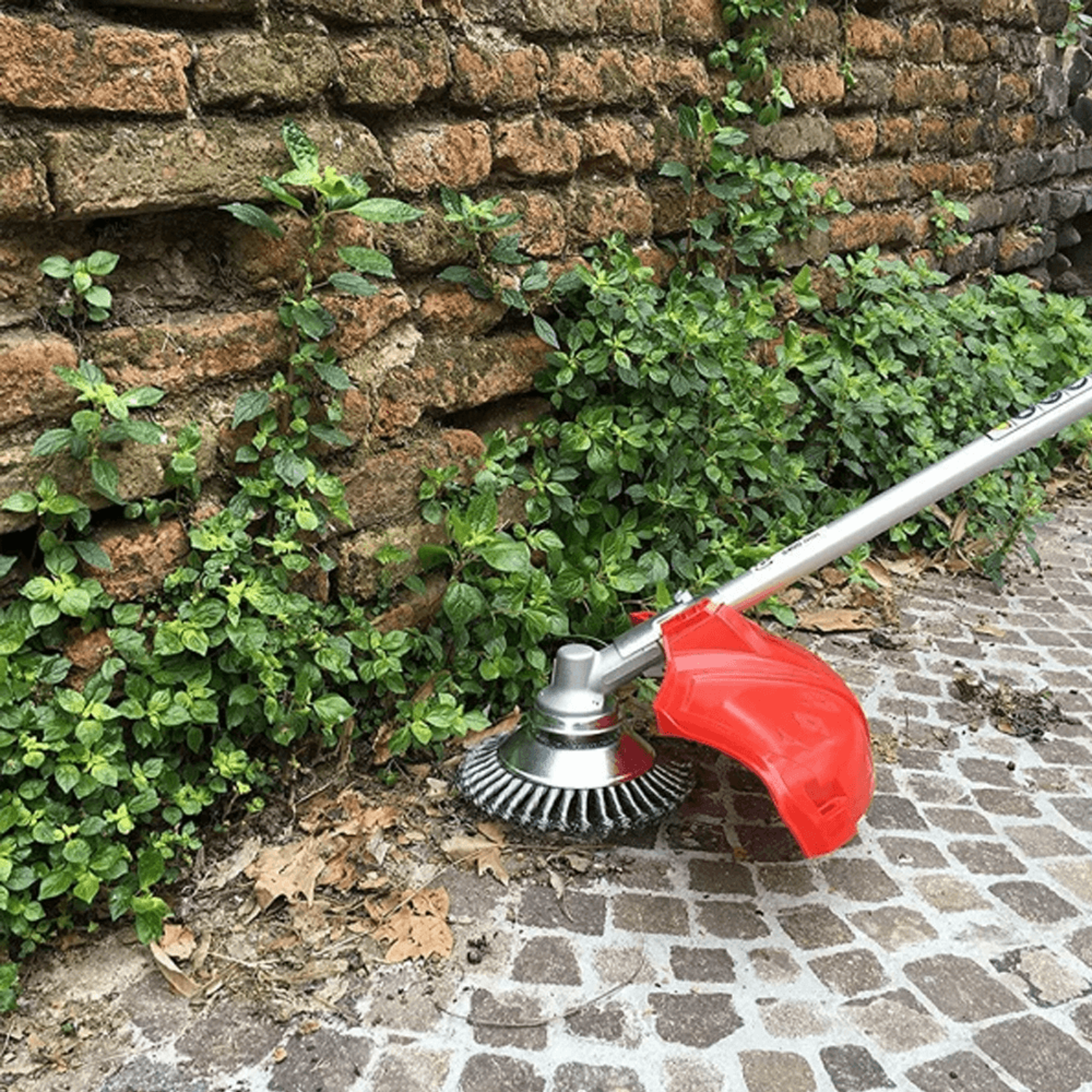 derusting weeding wheel 8 inch