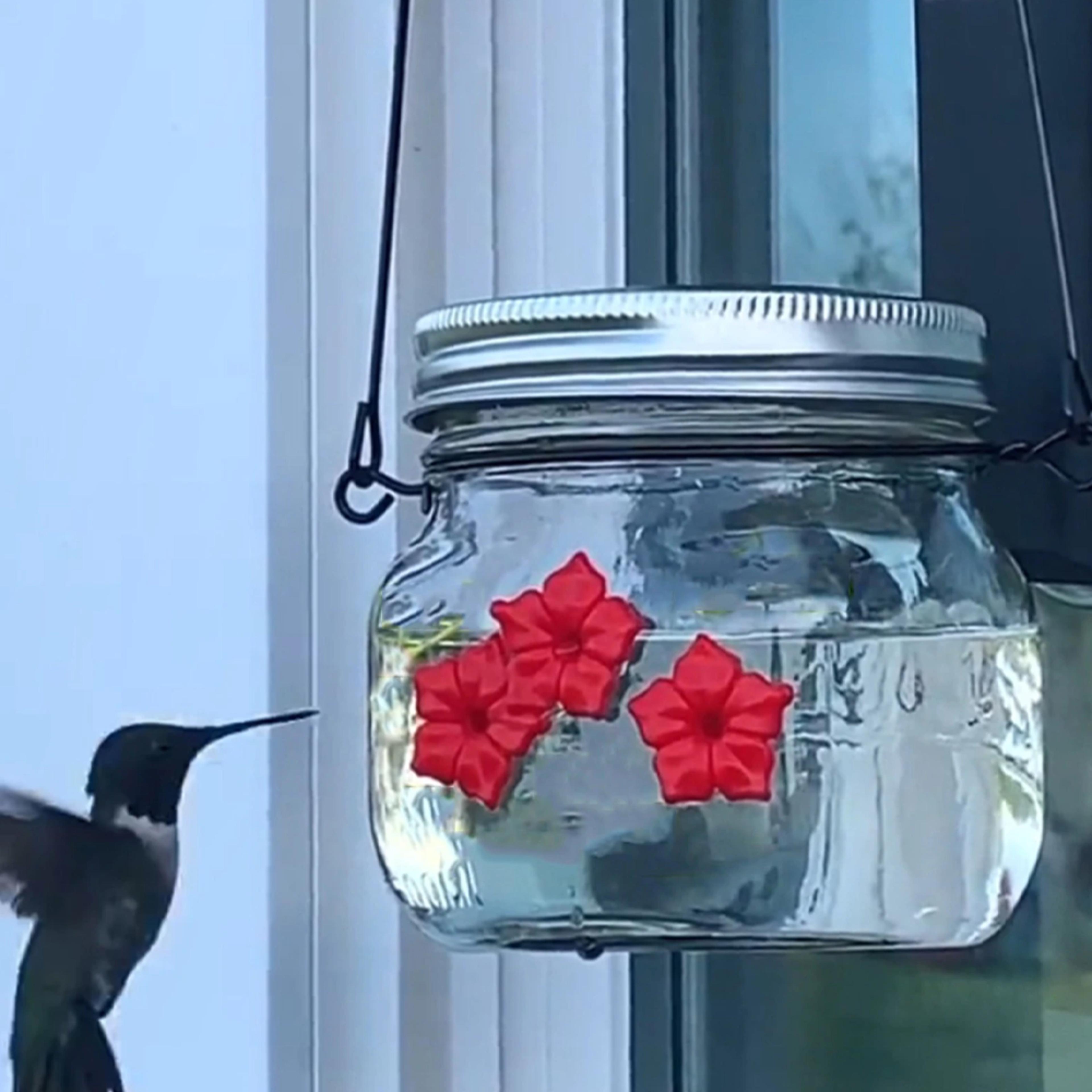 masonJarhummingbirdfeeder3.png