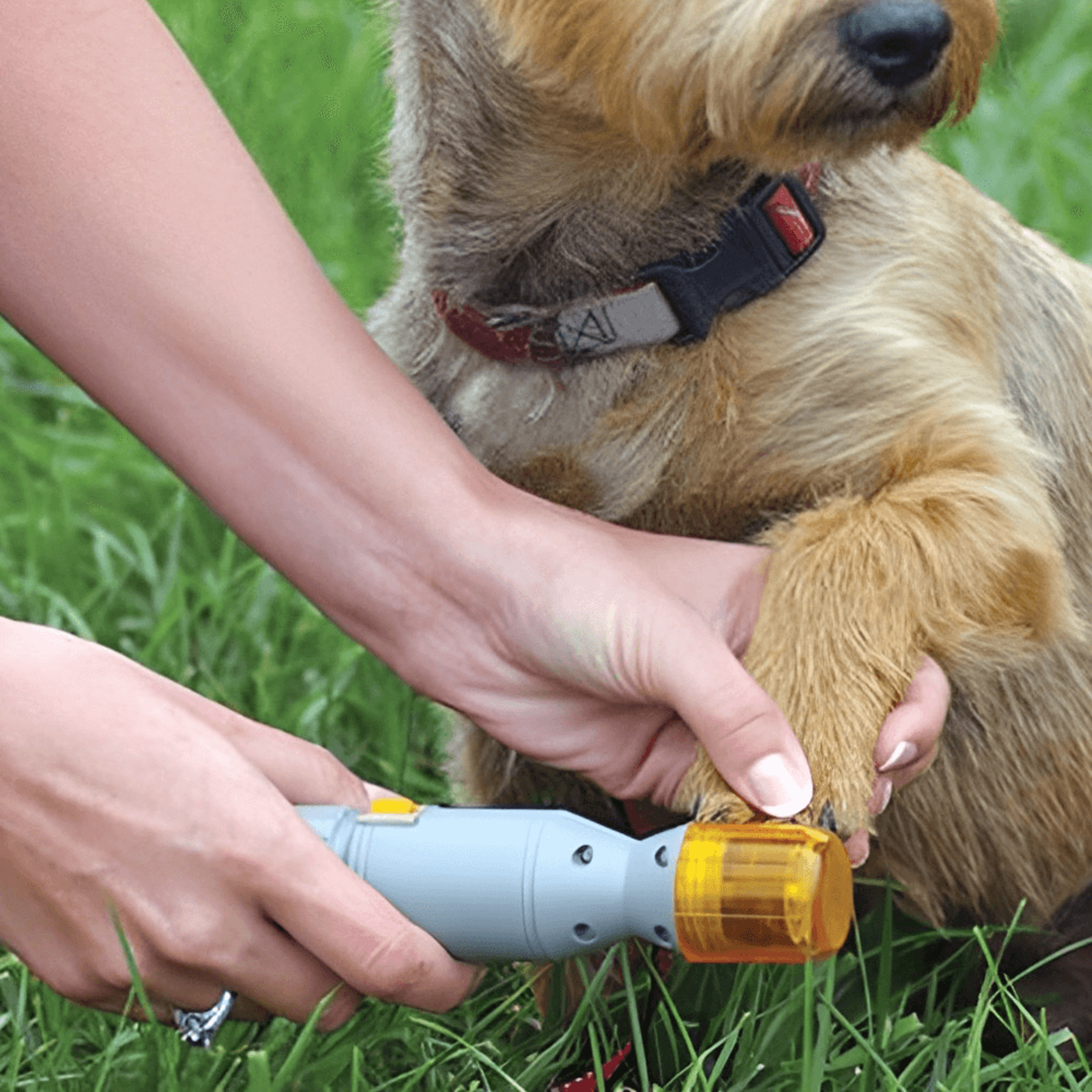 electric pet nail grinder trimmer – premium dog grooming tool