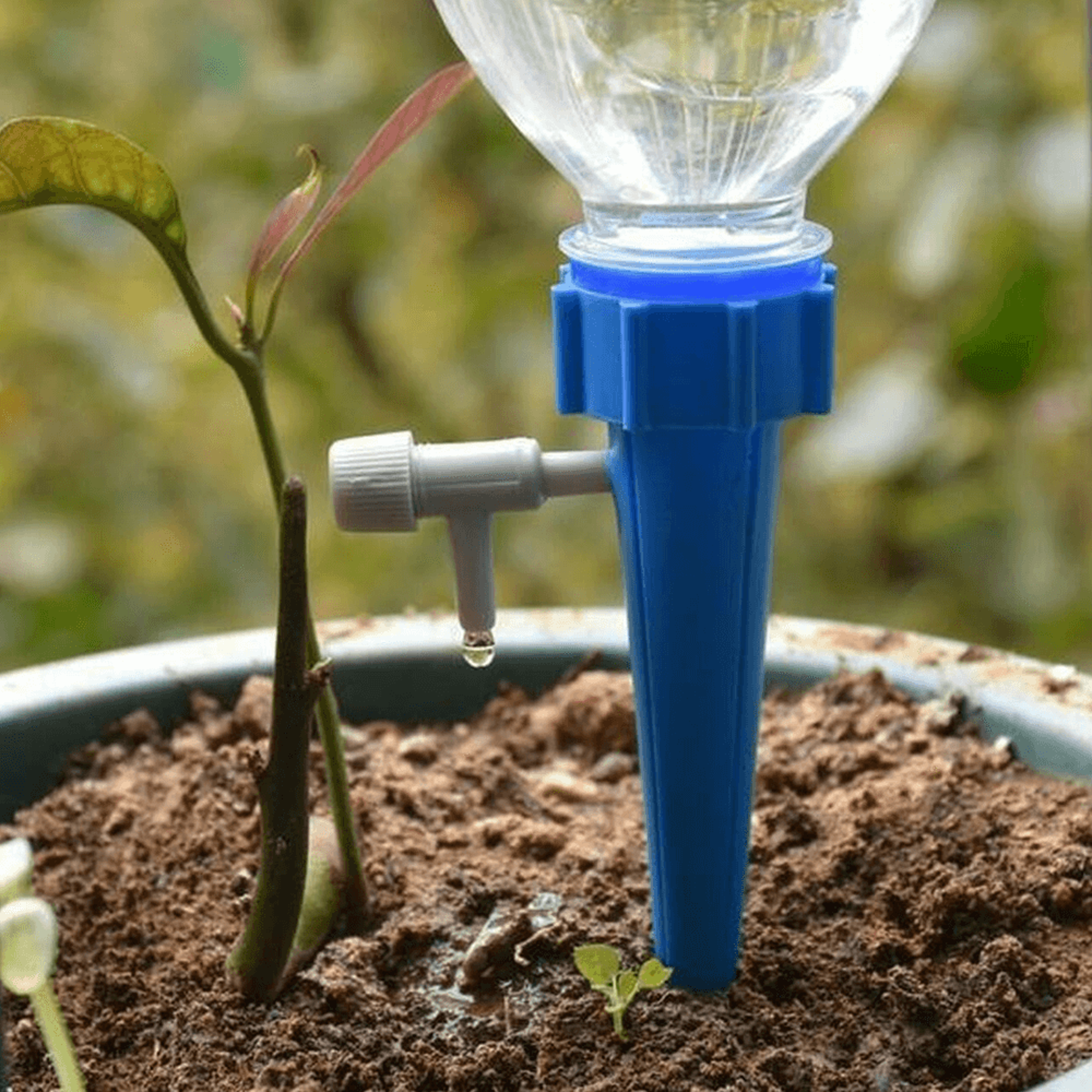 automatic water spikes